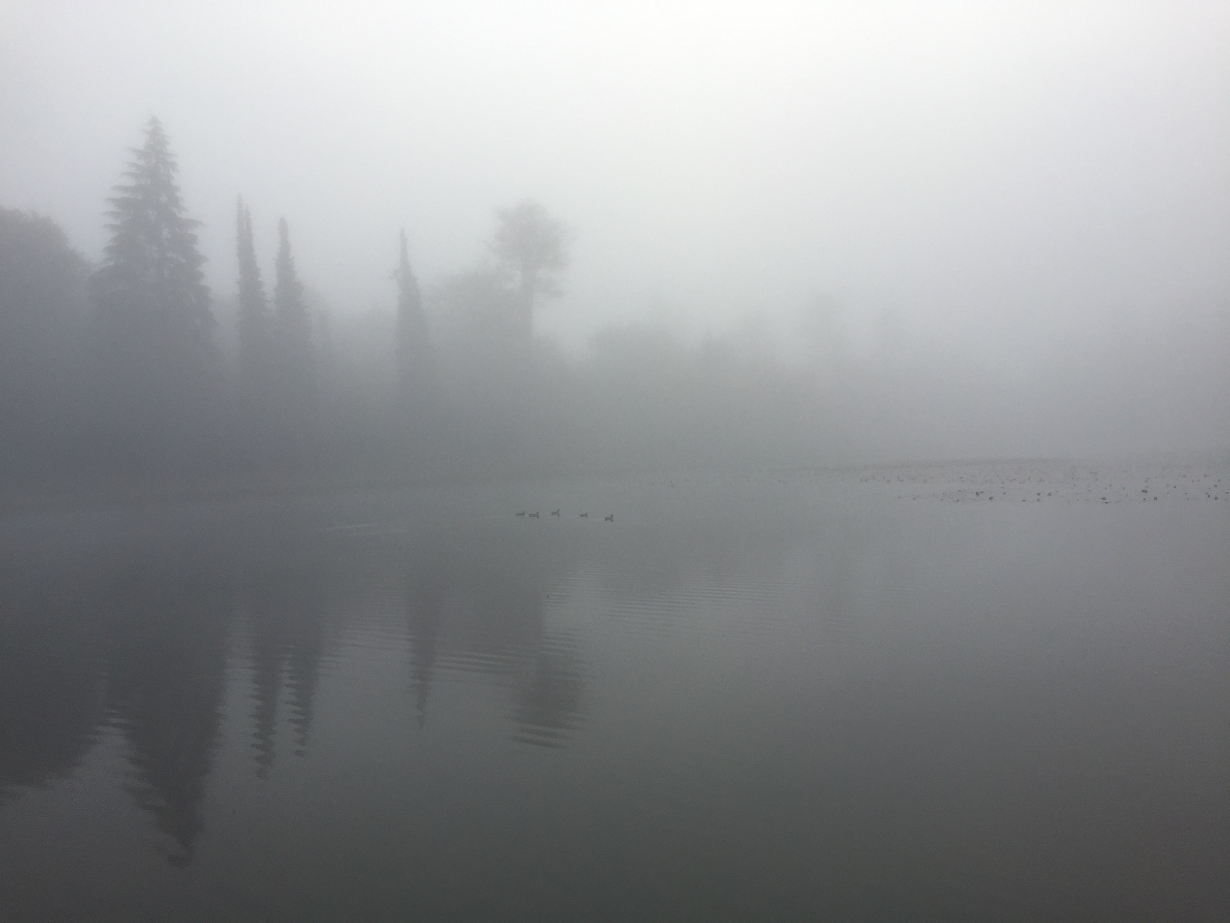 FIFTY SHADES OF NOVEMBER...