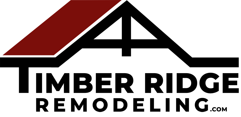 TR_Logo1_BSP