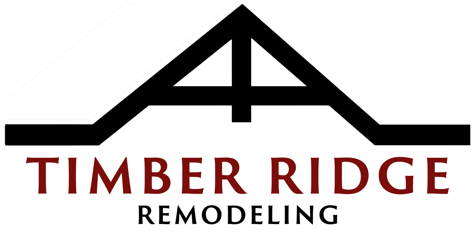 TR_Logo2_BSP