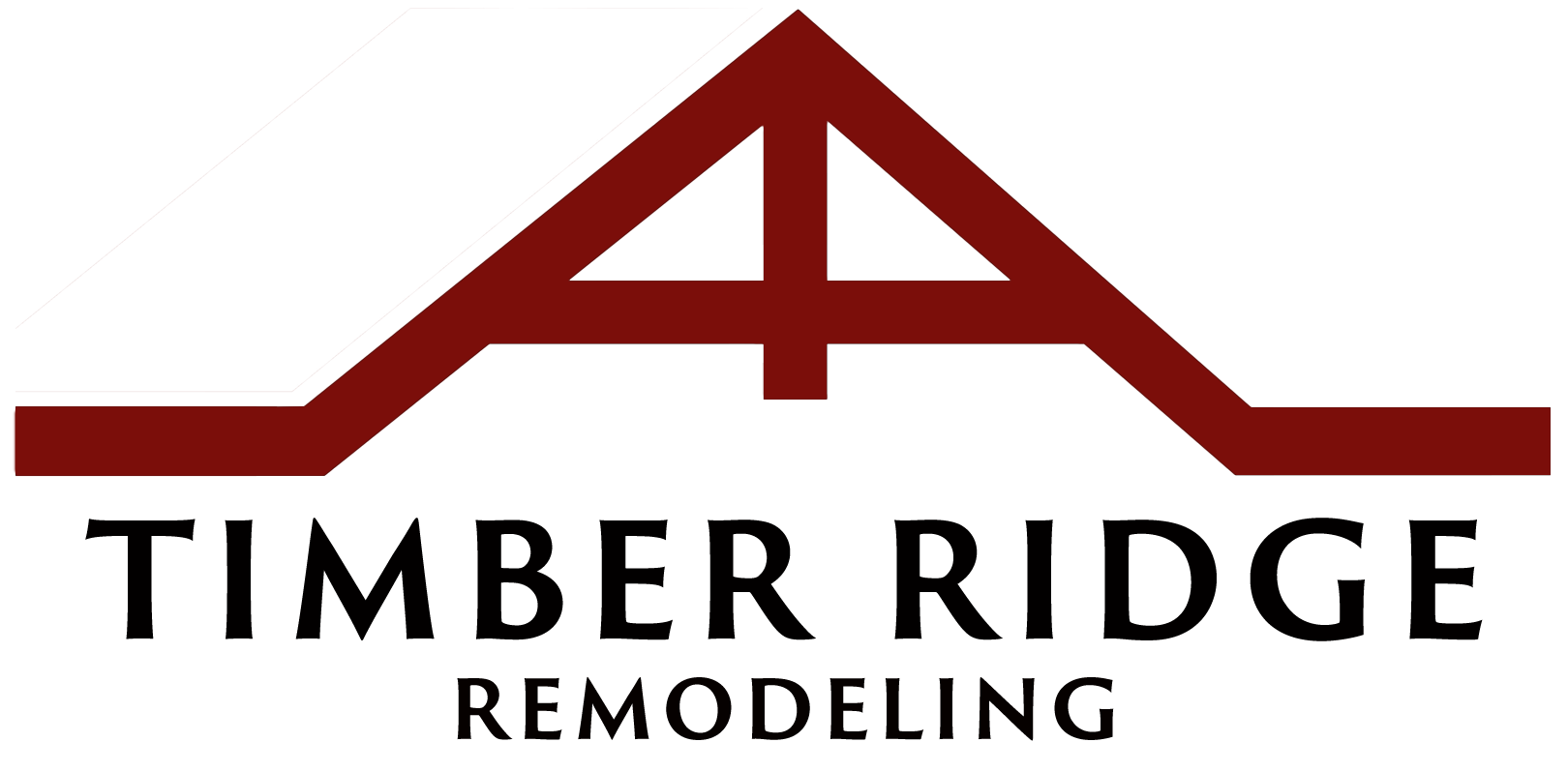 TR_Logo3_BSP