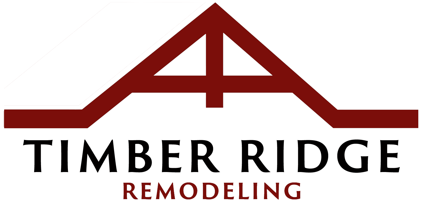 TR_Logo4_BSP