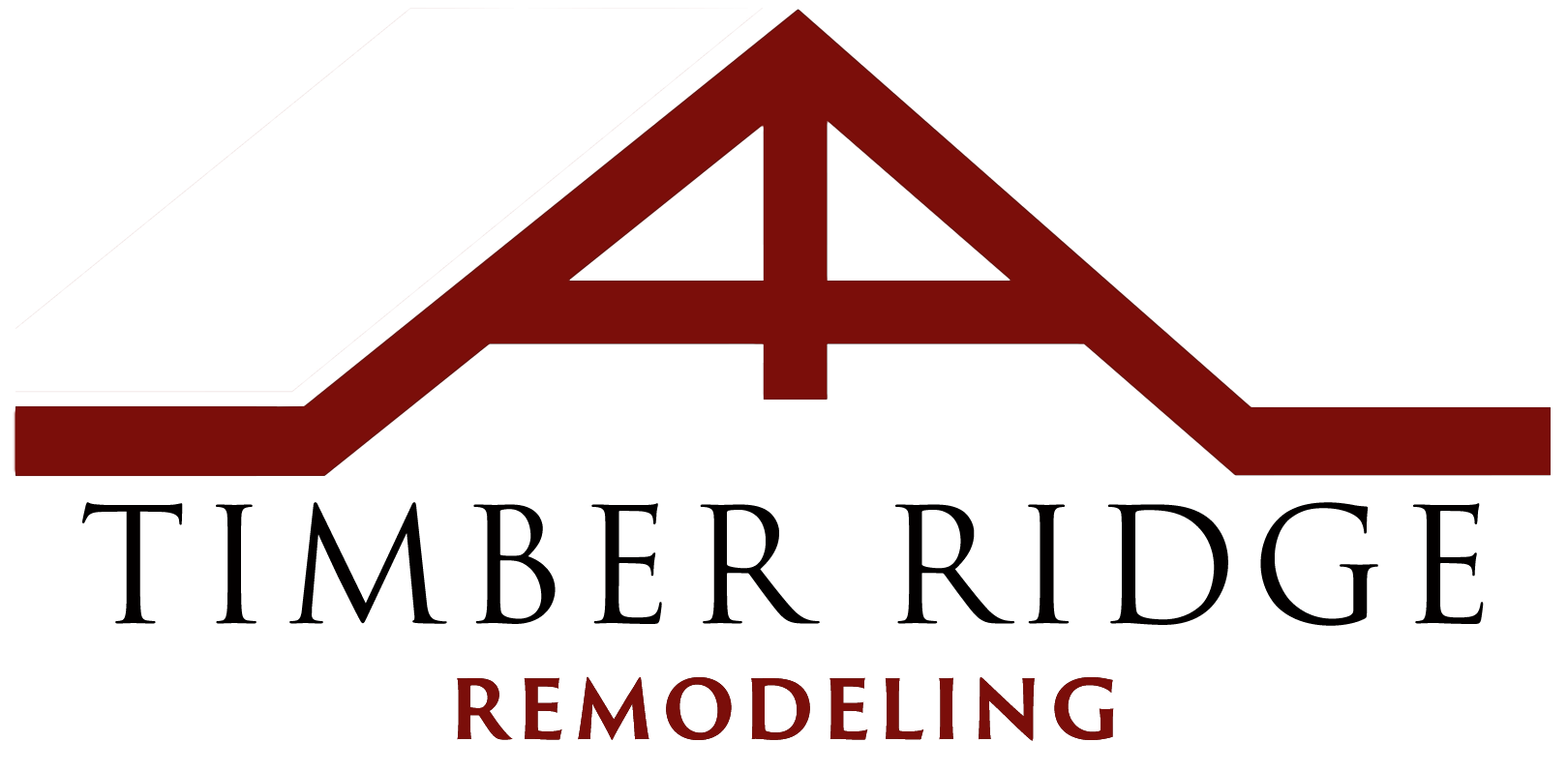 TR_Logo6_BSP