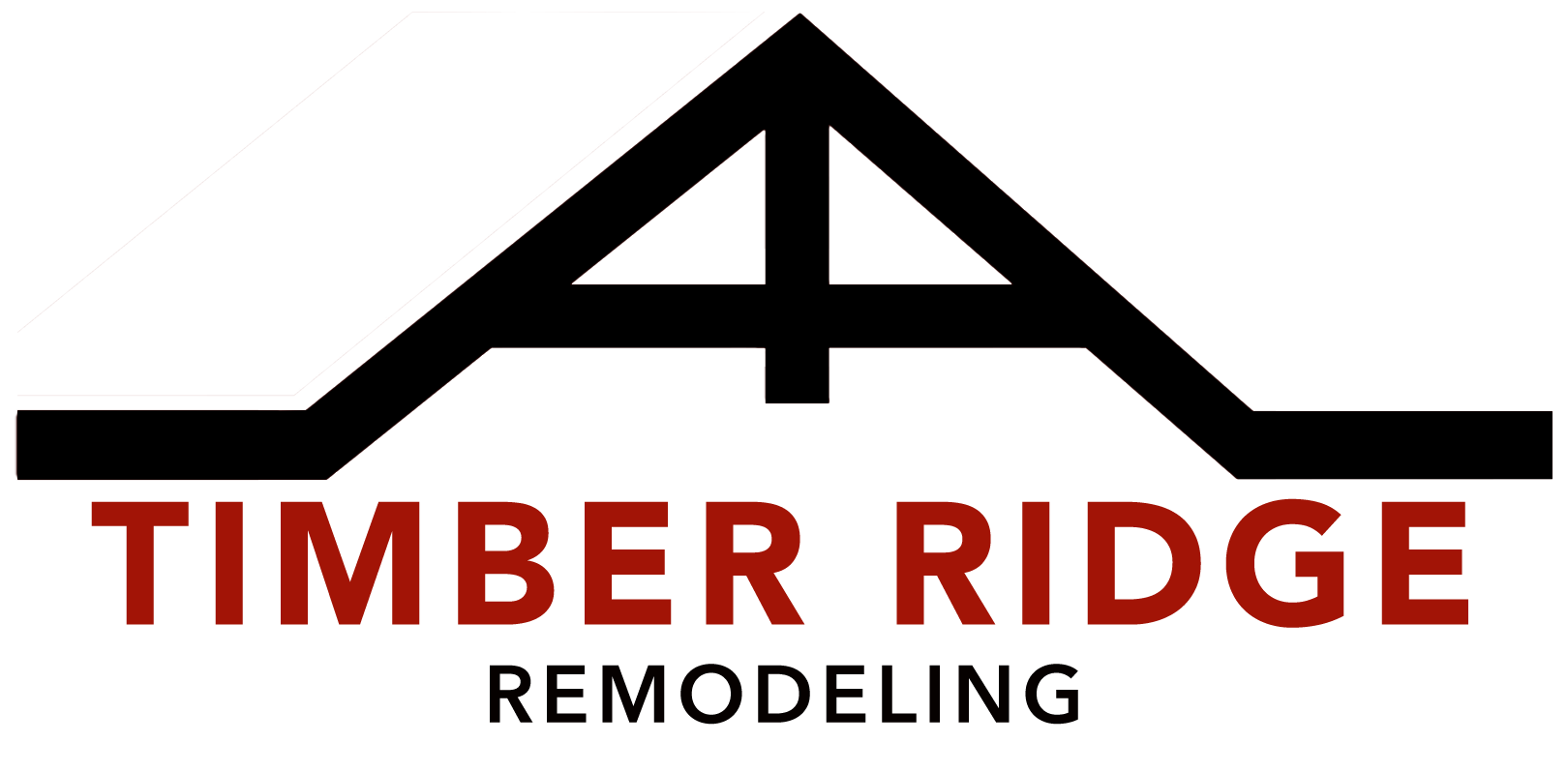 TR_Logo5_BSP