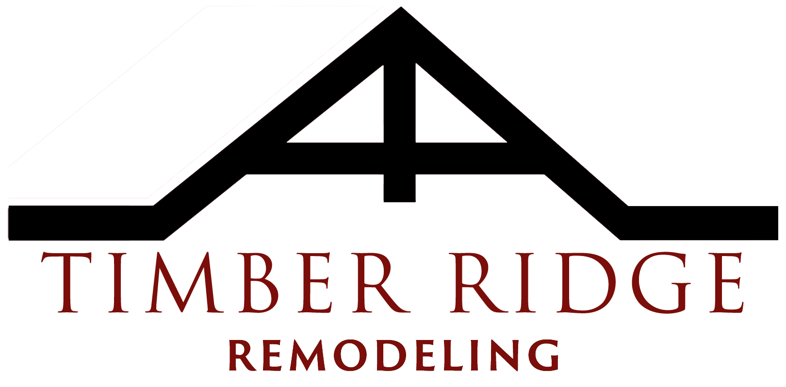 TR_Logo6A_BSP