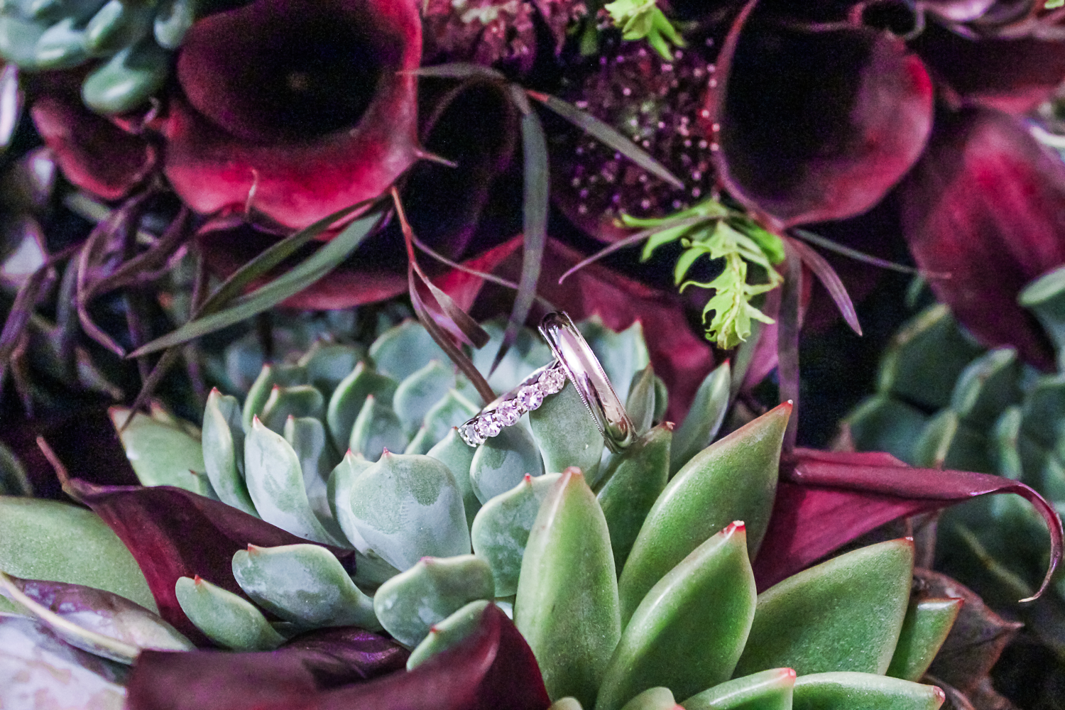 Pebble and Branch Floral