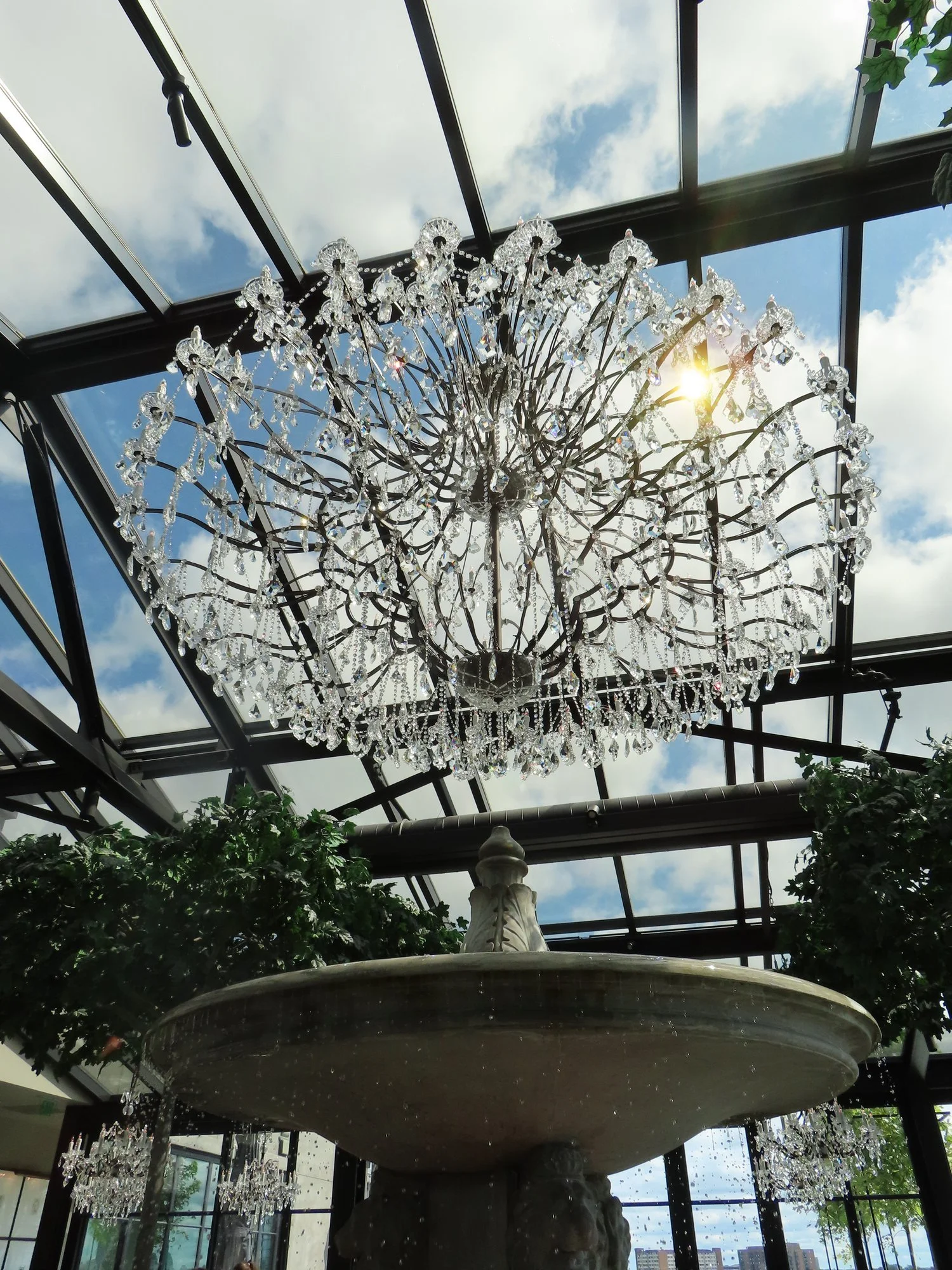 Anika's 19th: Lunch, Coffee, &amp; Arctic Monkeys