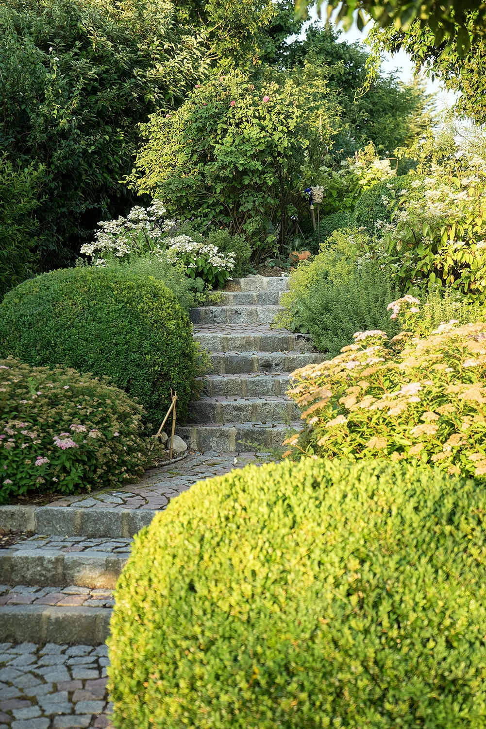 Epp-Gartenbau-Pflaster-91.jpg