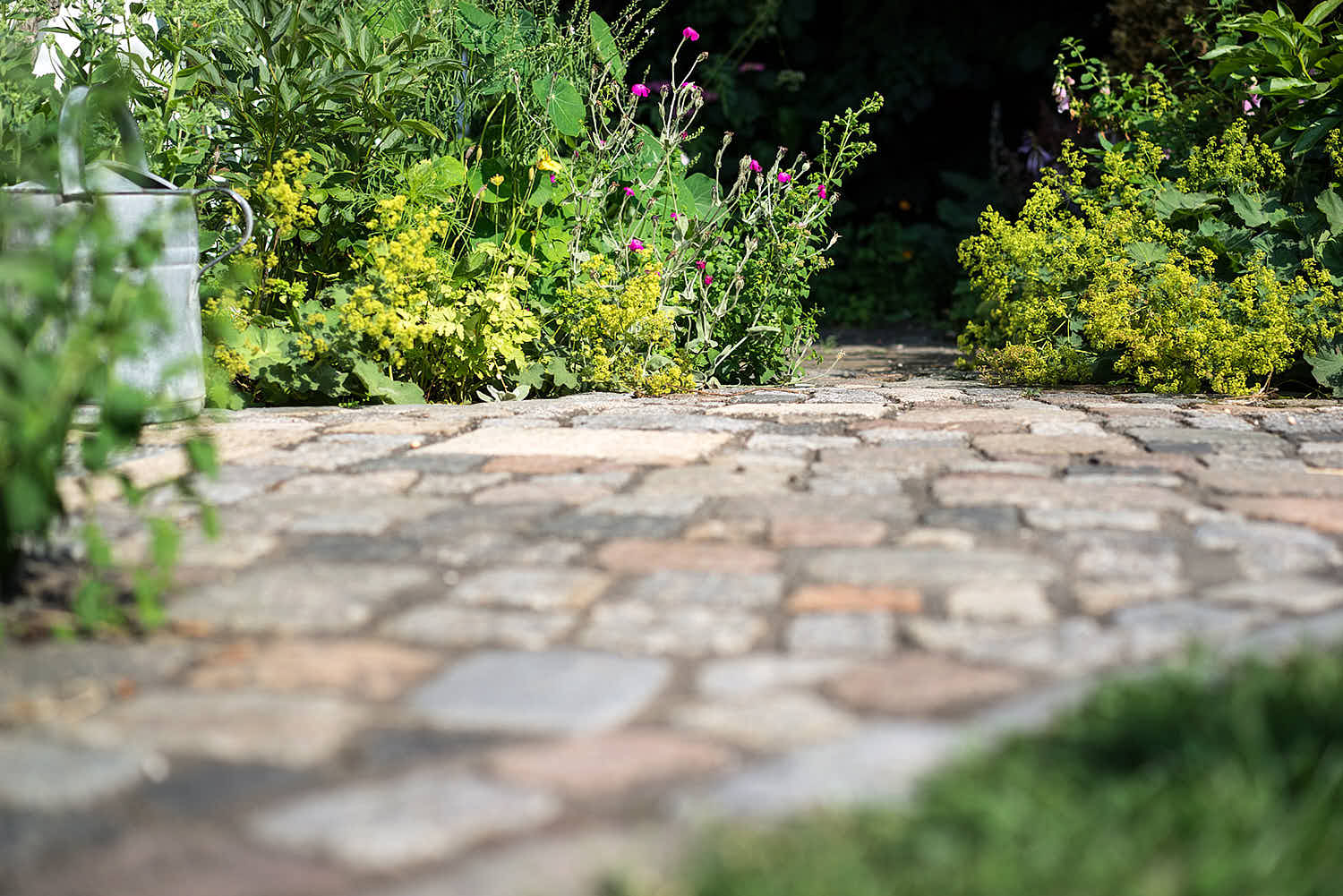 Epp-Gartenbau-Pflaster-117.jpg