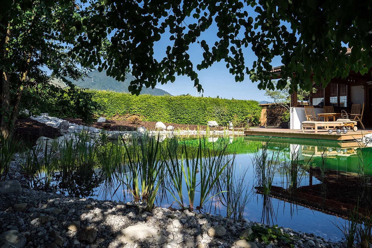 Epp-Gartenbau-Teich-2-153.jpg