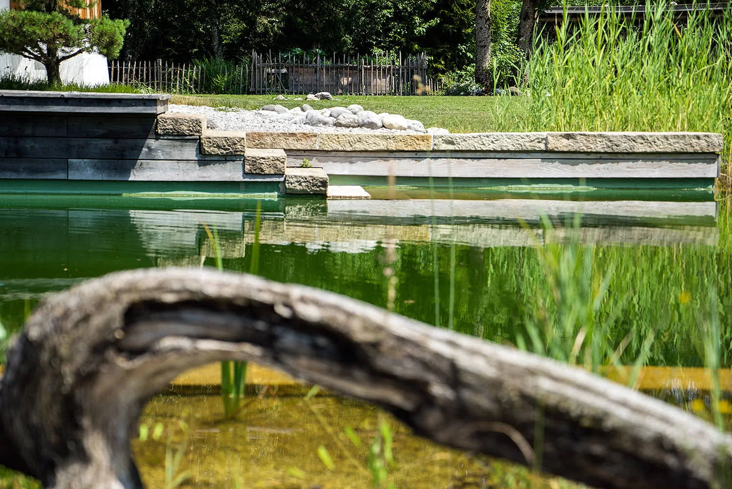 Epp-Gartenbau-Teich-3-178.jpg