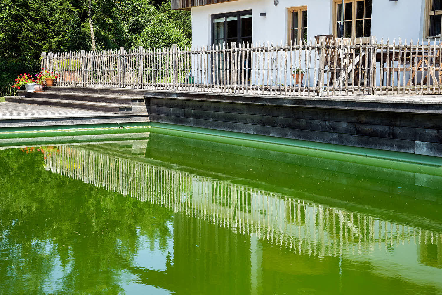 Epp-Gartenbau-Teich-3-177.jpg