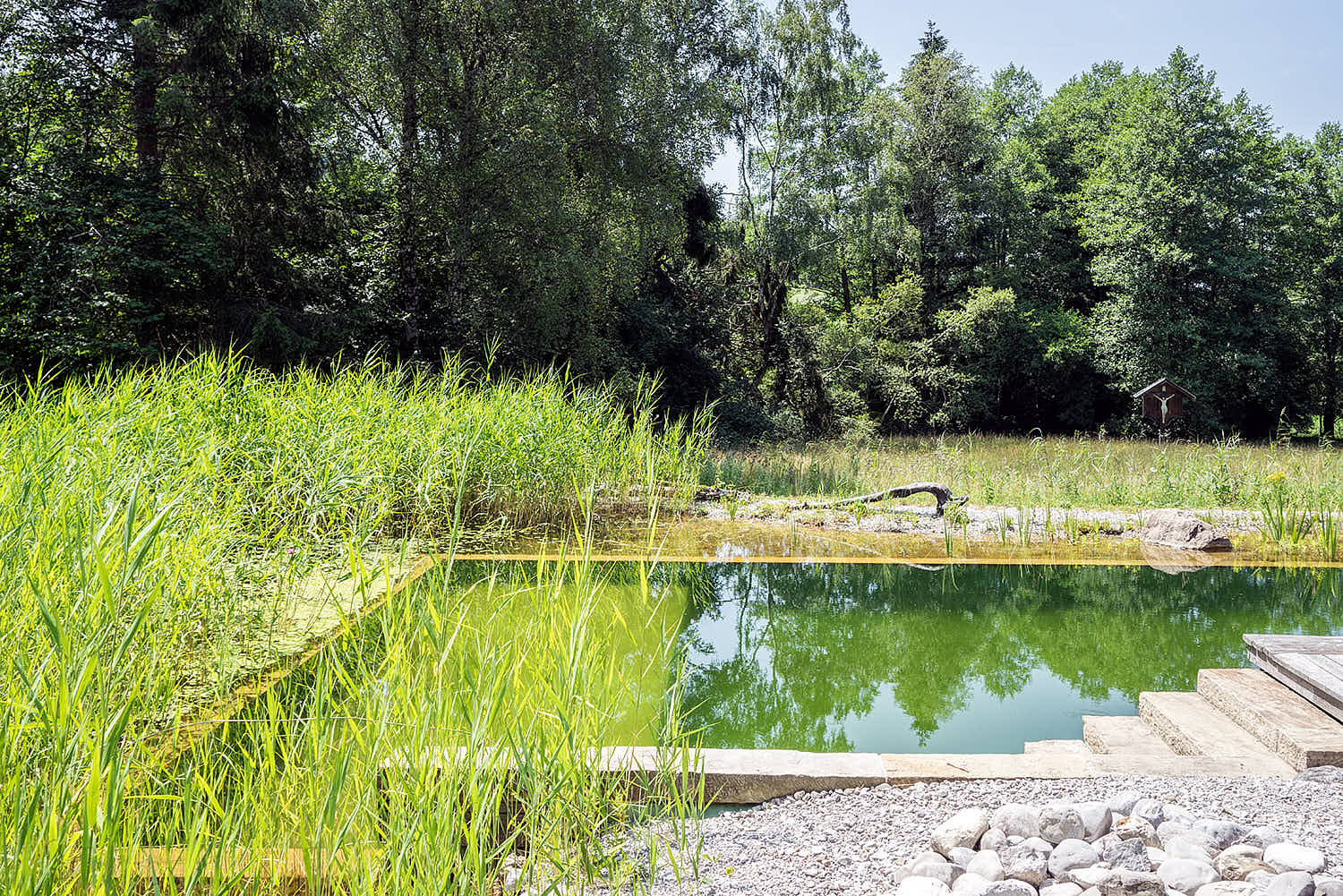 Epp-Gartenbau-Teich-3-184.jpg