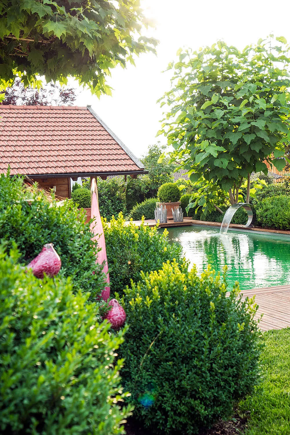 Epp-Gartenbau-Teich-5-196.jpg