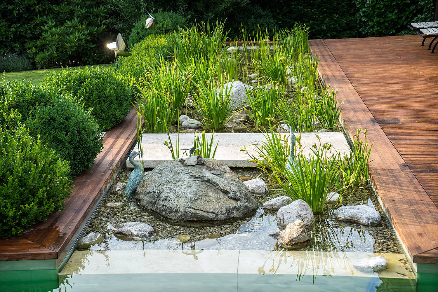 Epp-Gartenbau-Teich-5-204.jpg