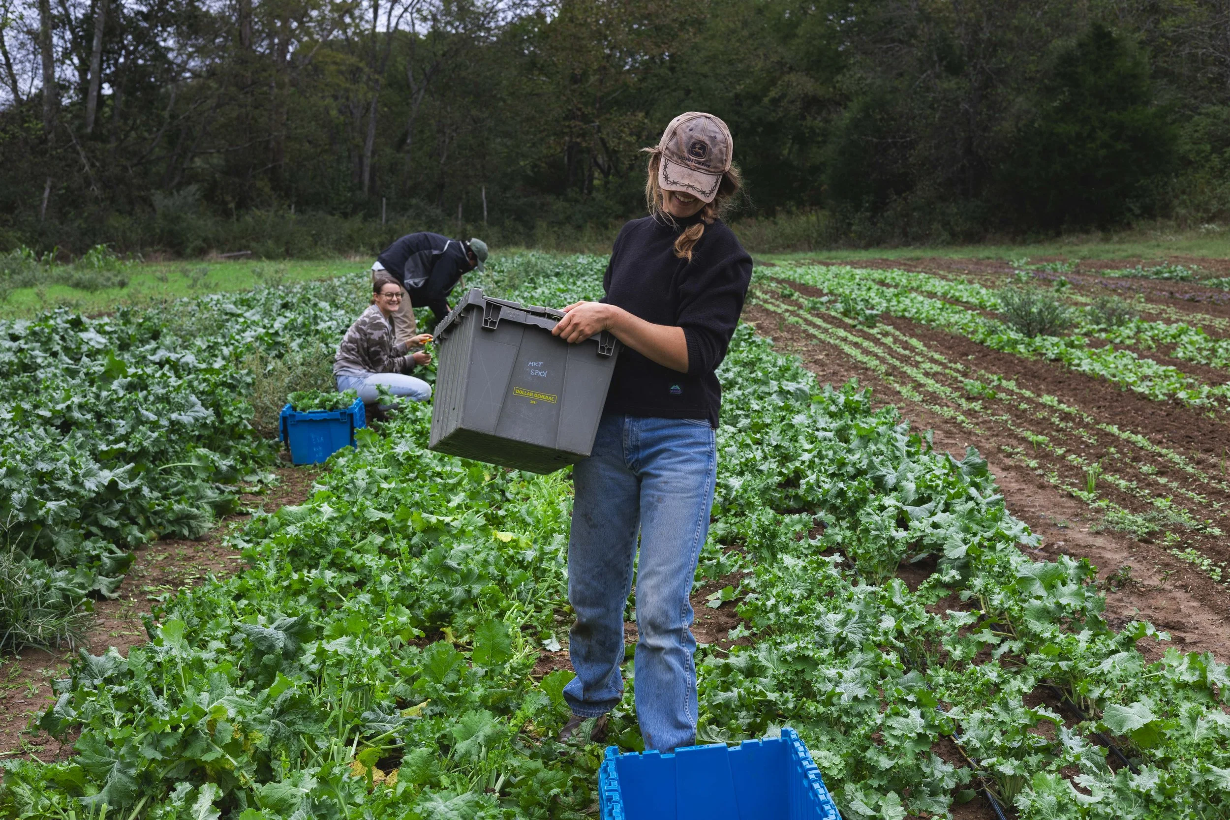 Harvesting on Bells Bend Farms