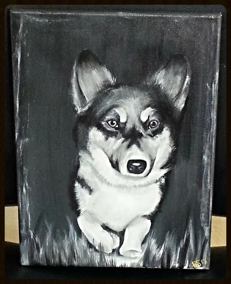 Corgi