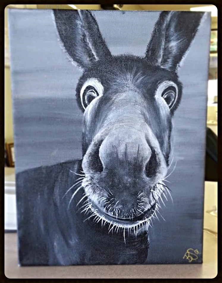 Fuzz Nose Donkey