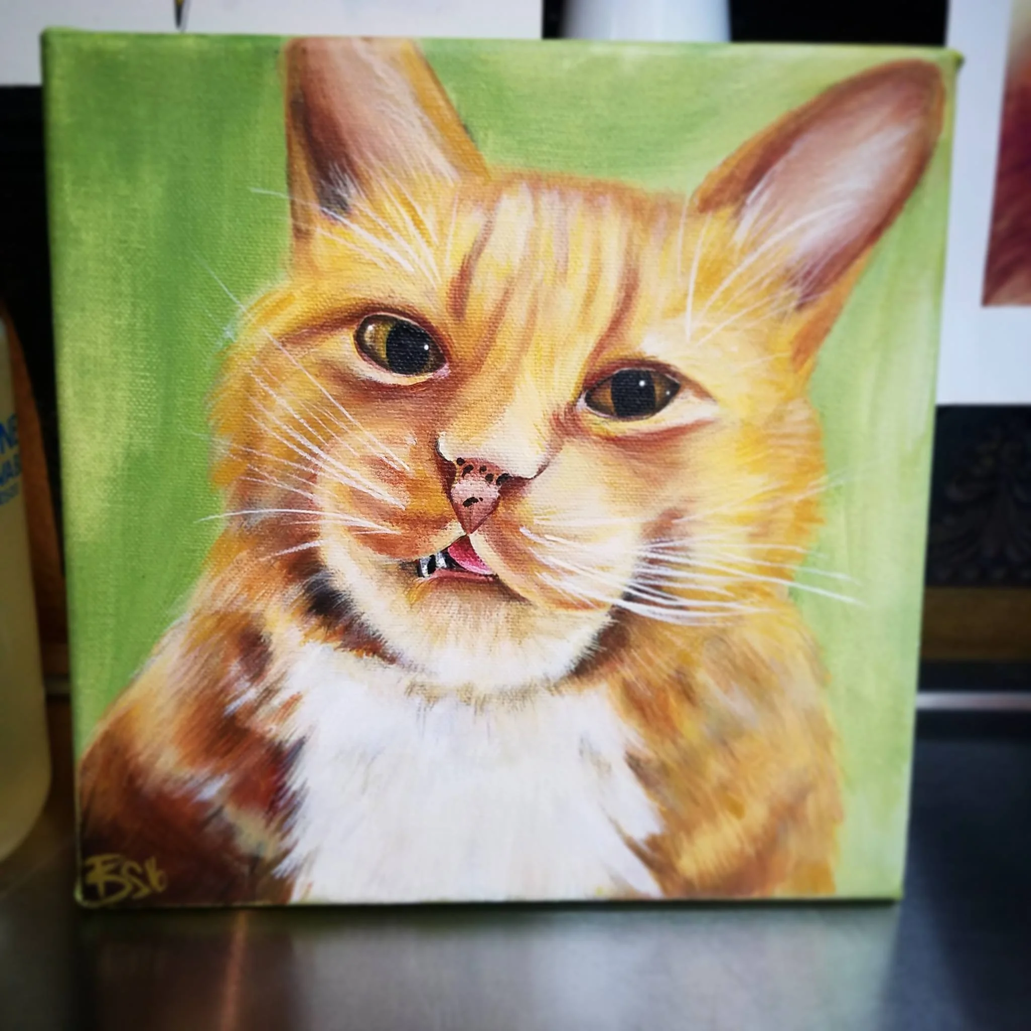 Portrait of Baby Kitty
