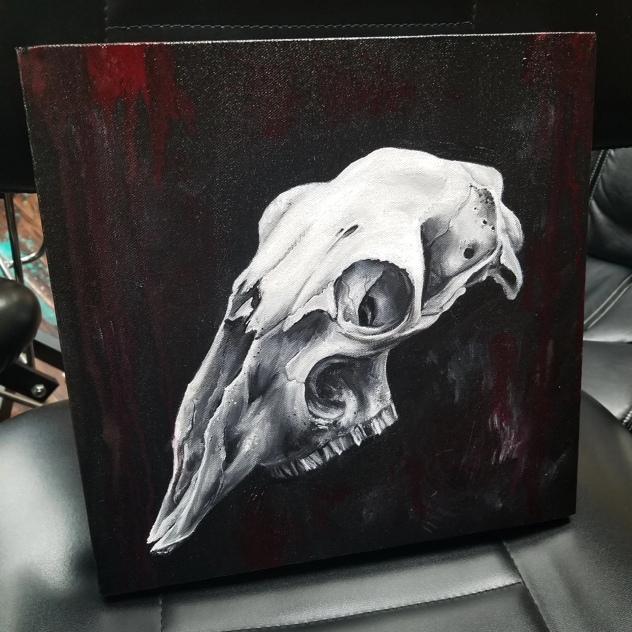 Deer Skull