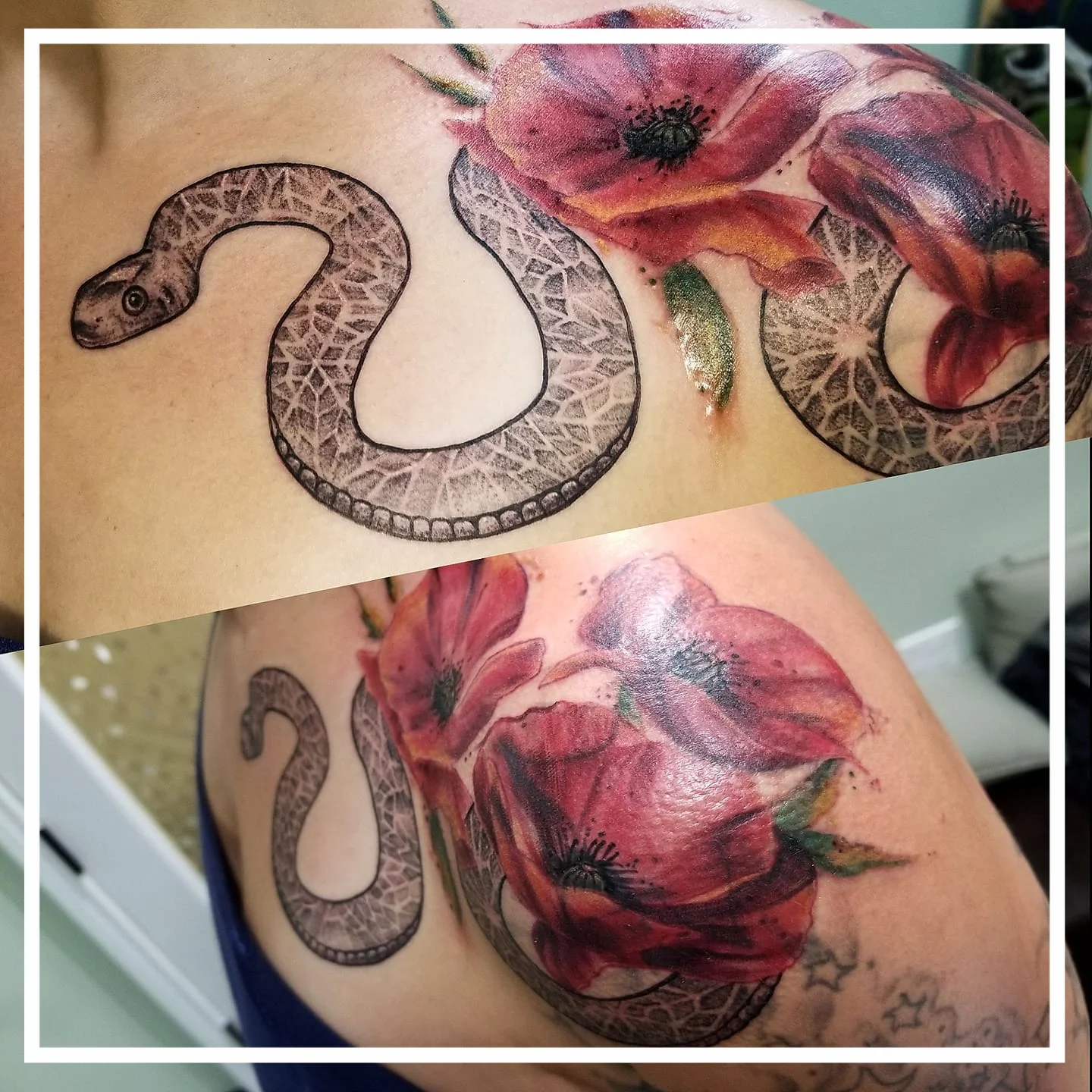Snake Among Poppies