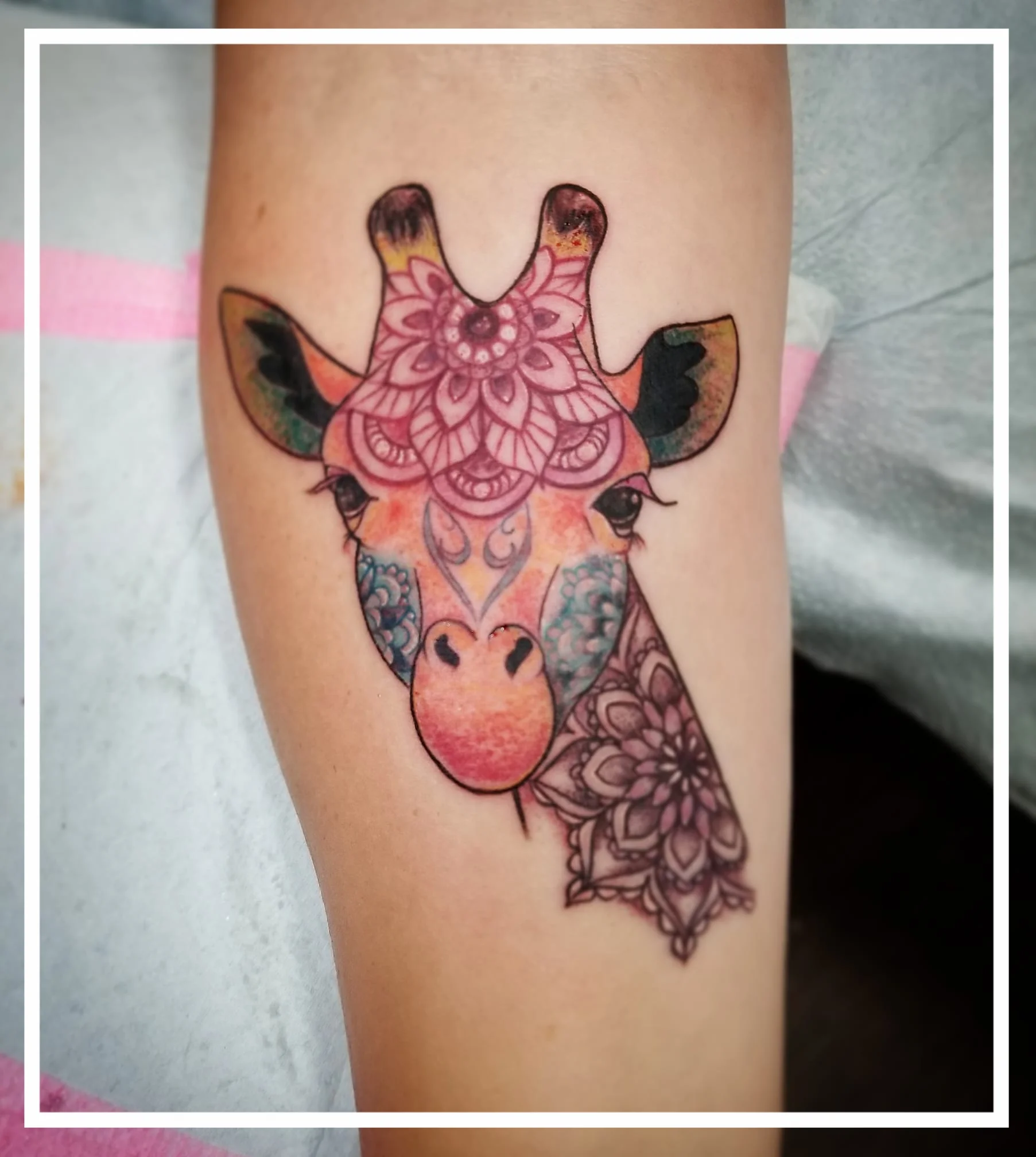 Custom/Colorful/Critters