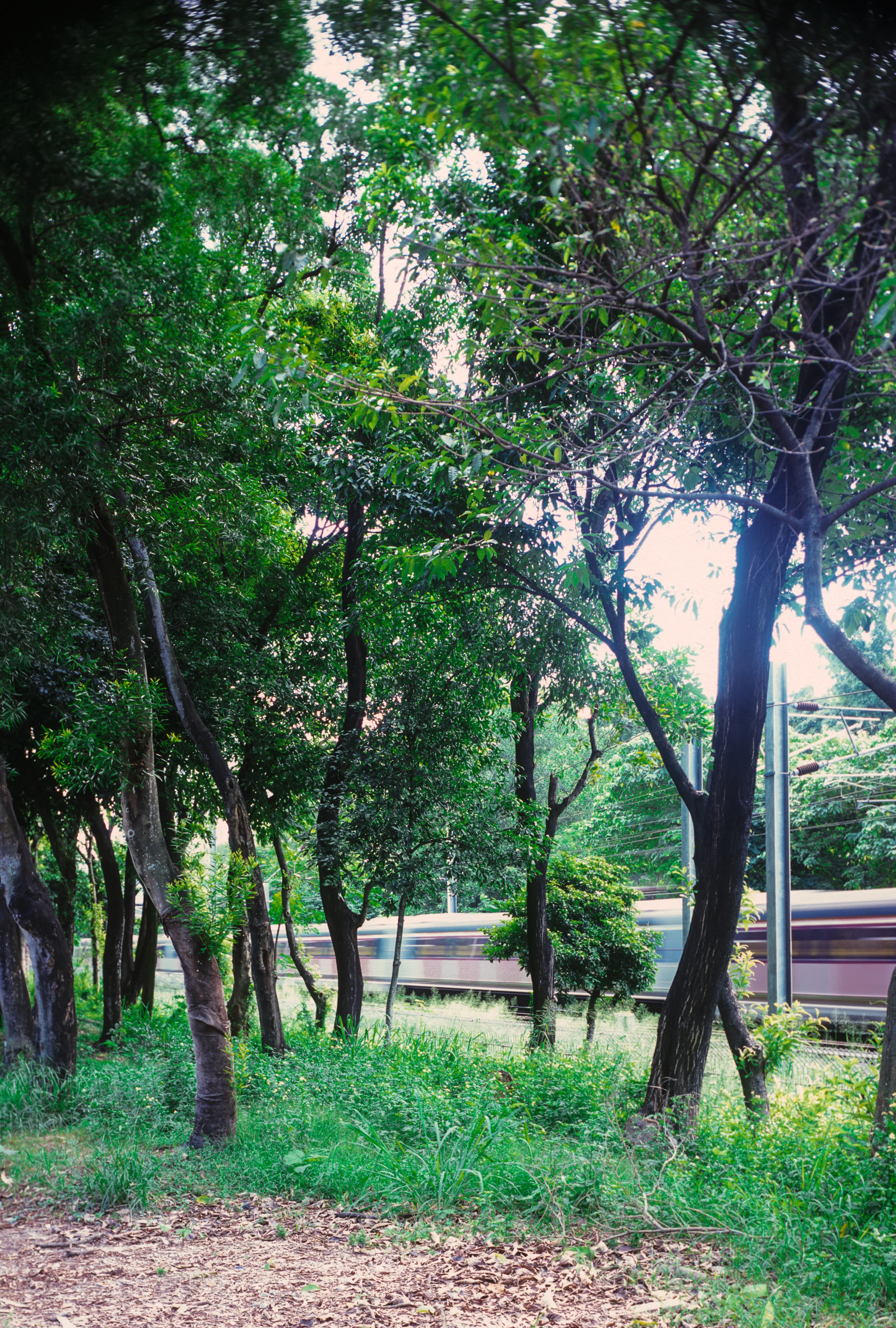 RVP100_Horseman VR-H-18.jpg