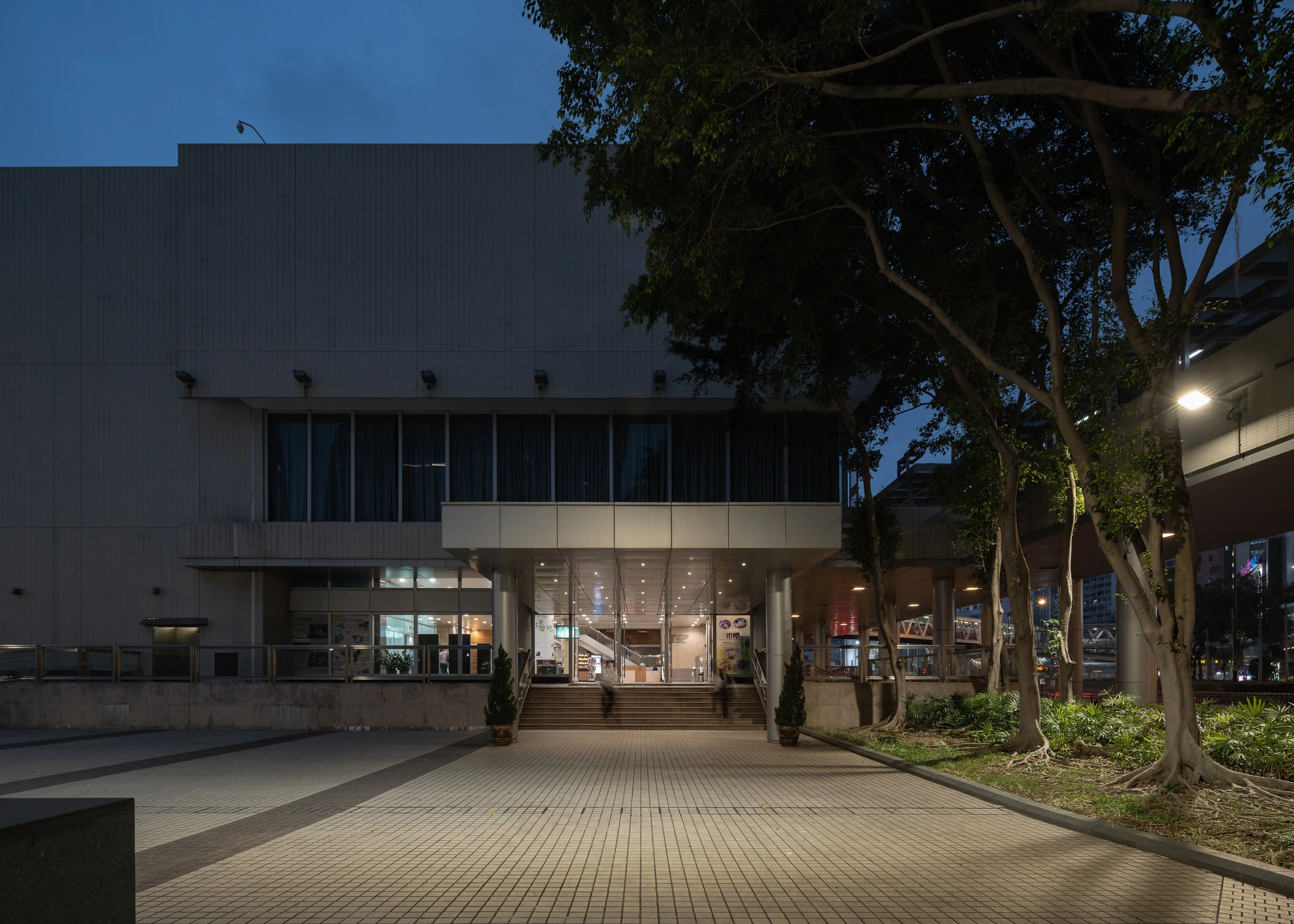 4KWEB-20190315-2041.jpg