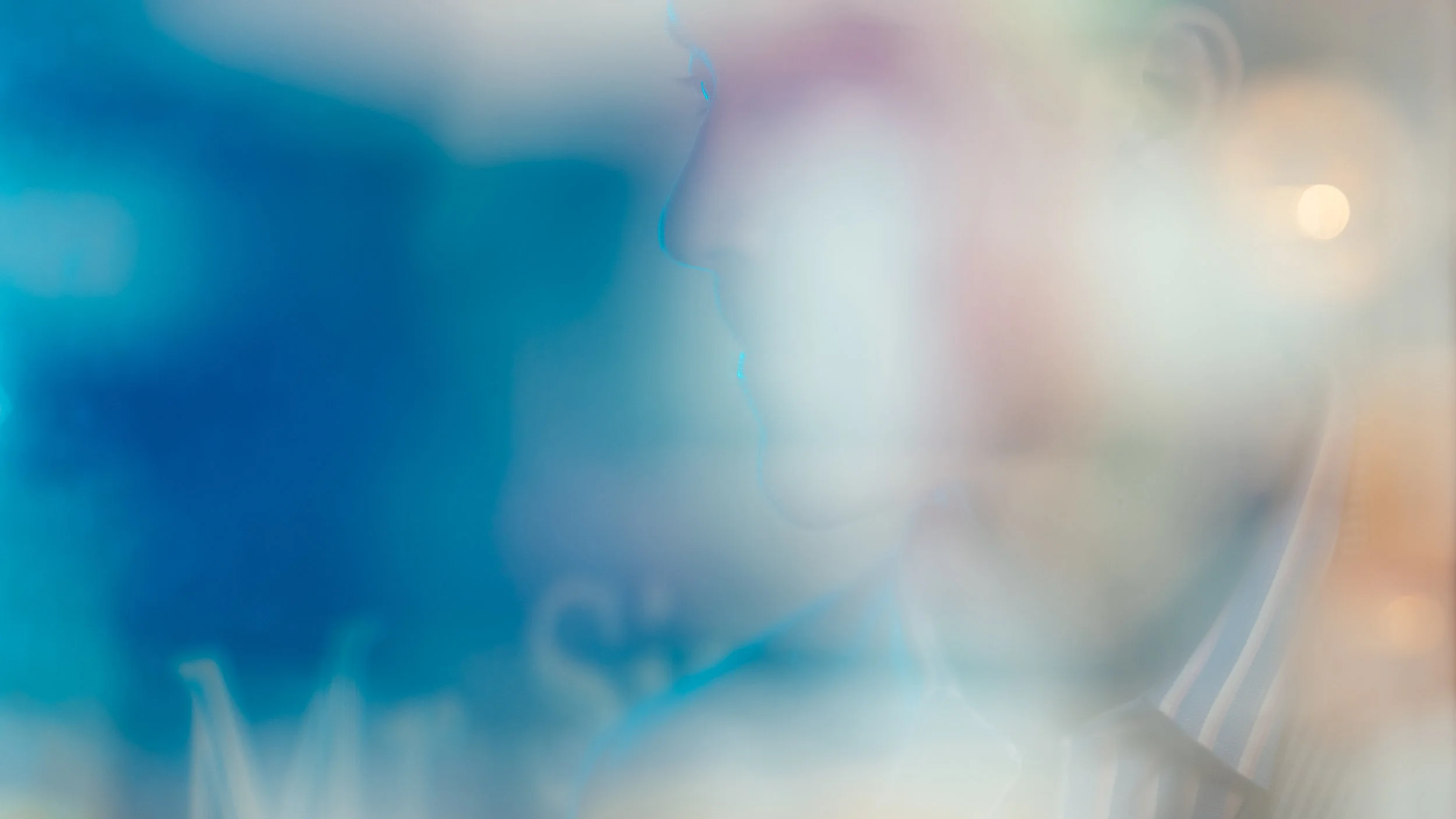 4K-A7RIII-20190404-3688.jpg