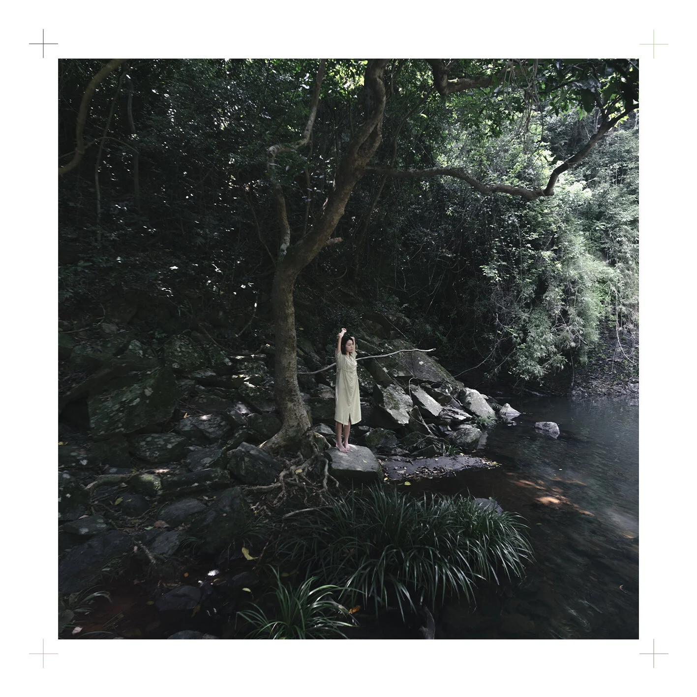 12x12cm-_ANI1131.jpg