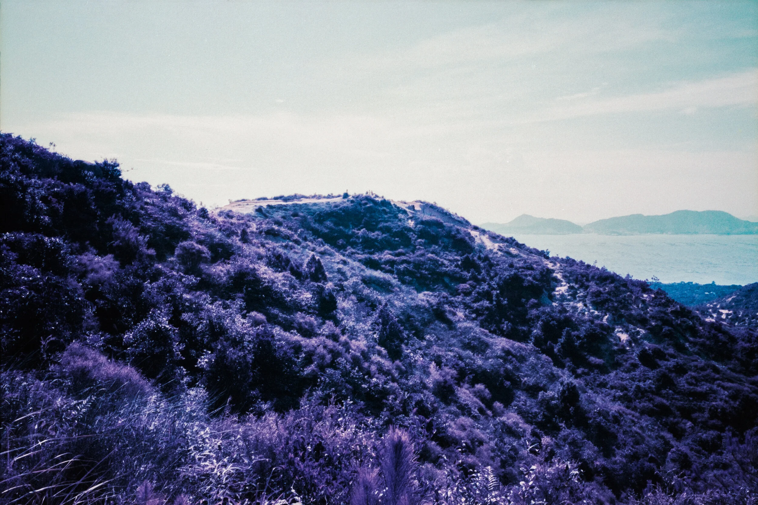 4KWEB-Ultra Violet-002.jpg