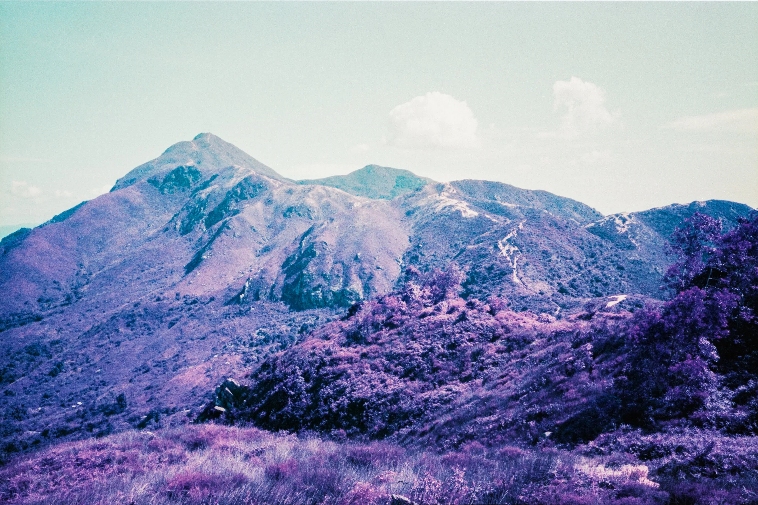 4KWEB-Ultra Violet-001.jpg