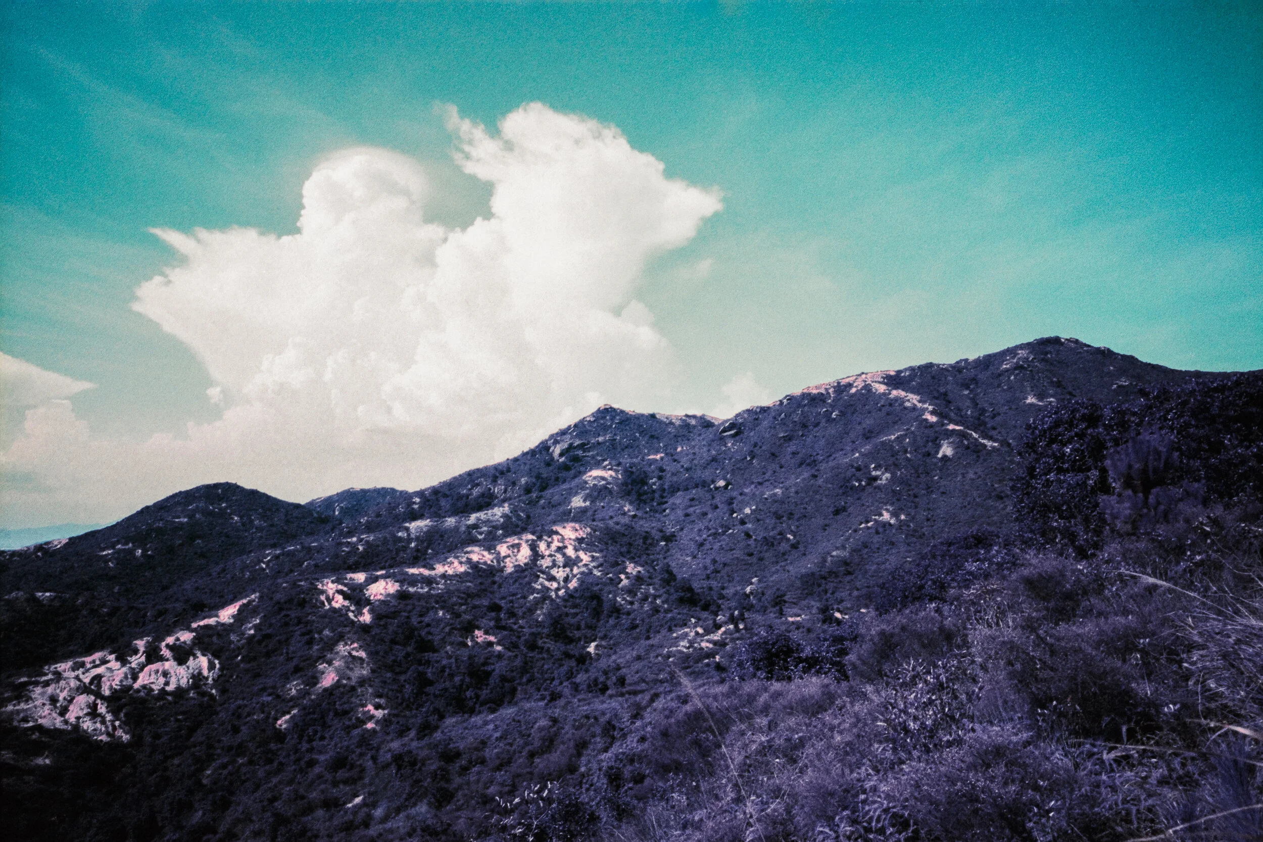 4KWEB-Ultra Violet-003.jpg