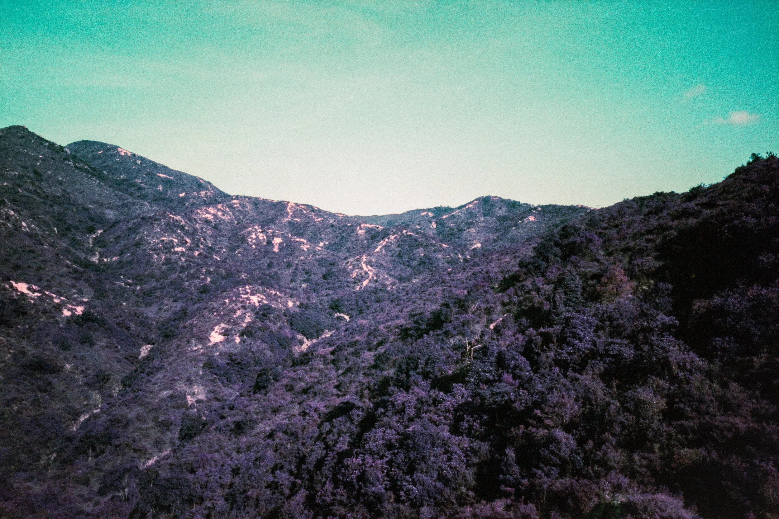 4KWEB-Ultra Violet-005.jpg