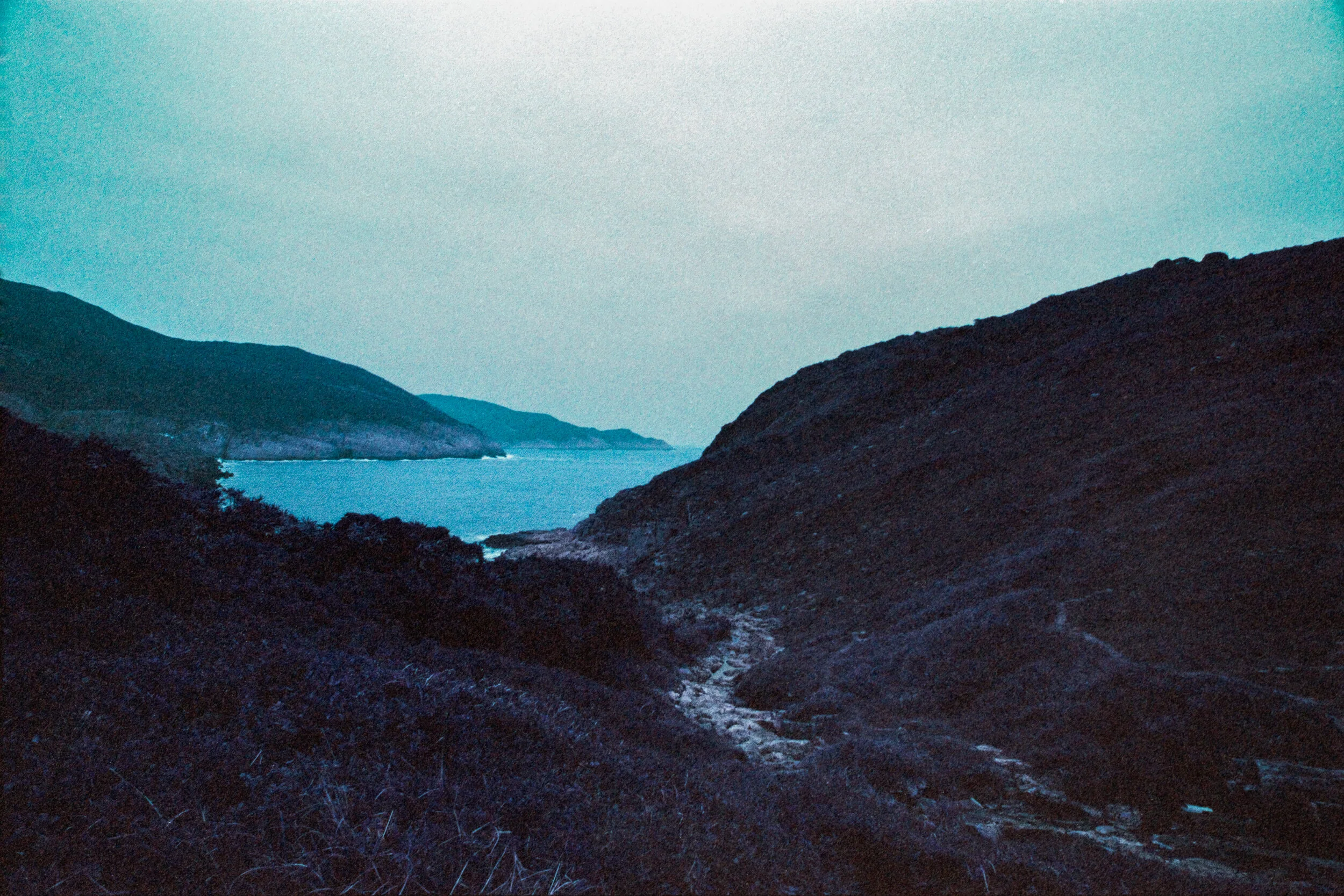 4KWEB-Ultra Violet-007.jpg