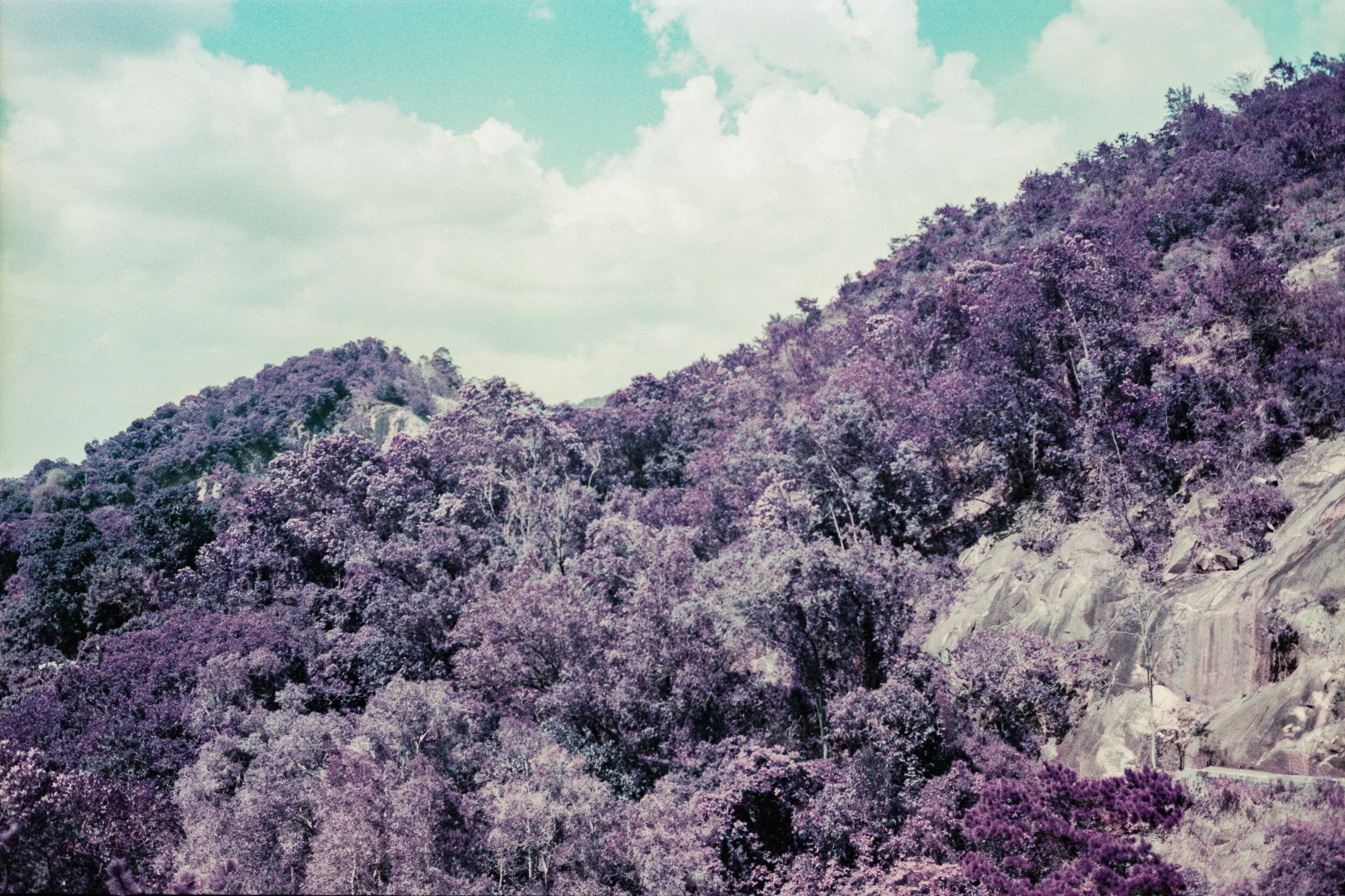 4KWEB-Ultra Violet-010.jpg