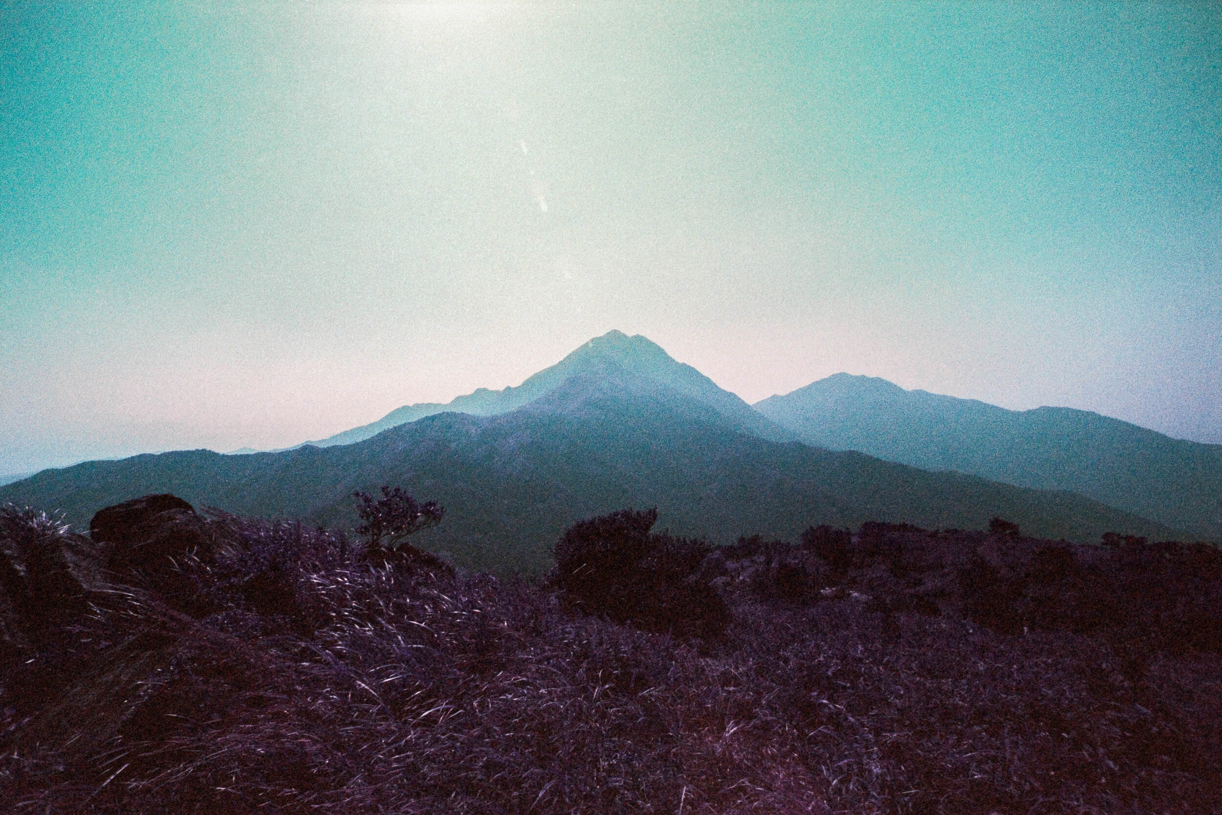 4KWEB-Ultra Violet-013.jpg