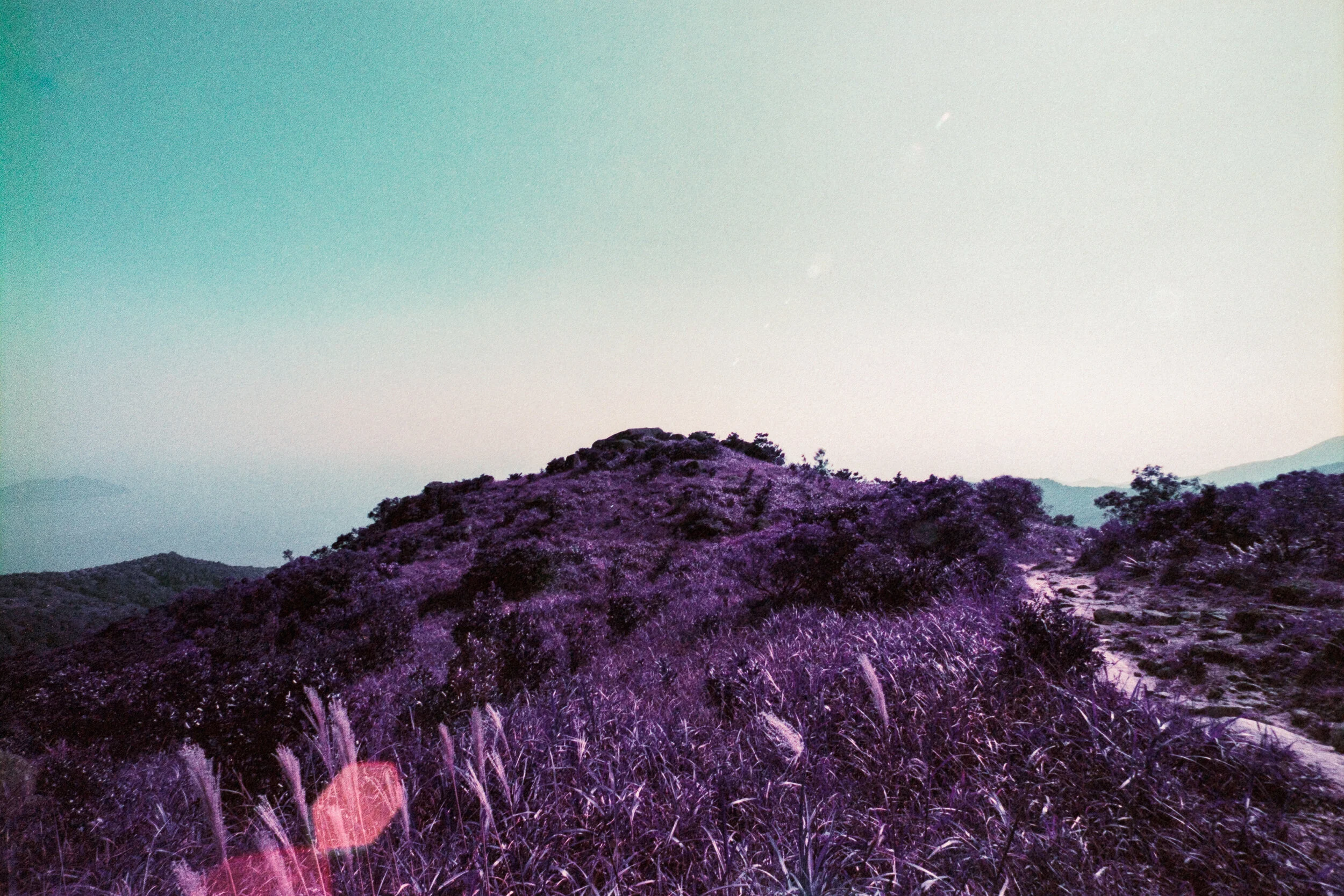 4KWEB-Ultra Violet-014.jpg