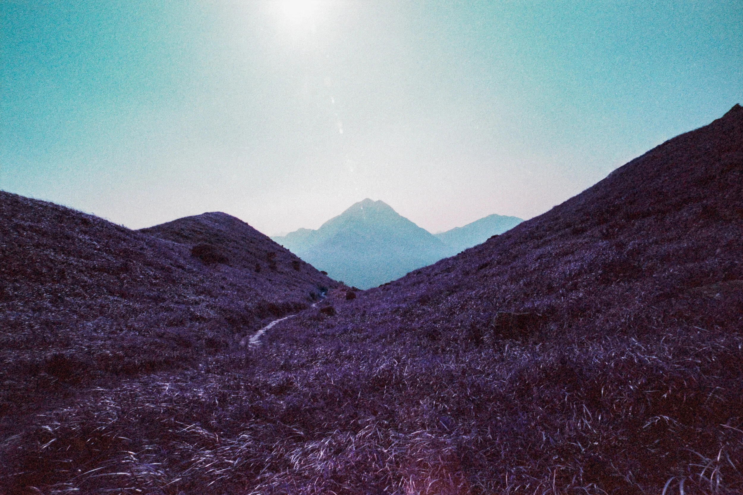 4KWEB-Ultra Violet-015.jpg