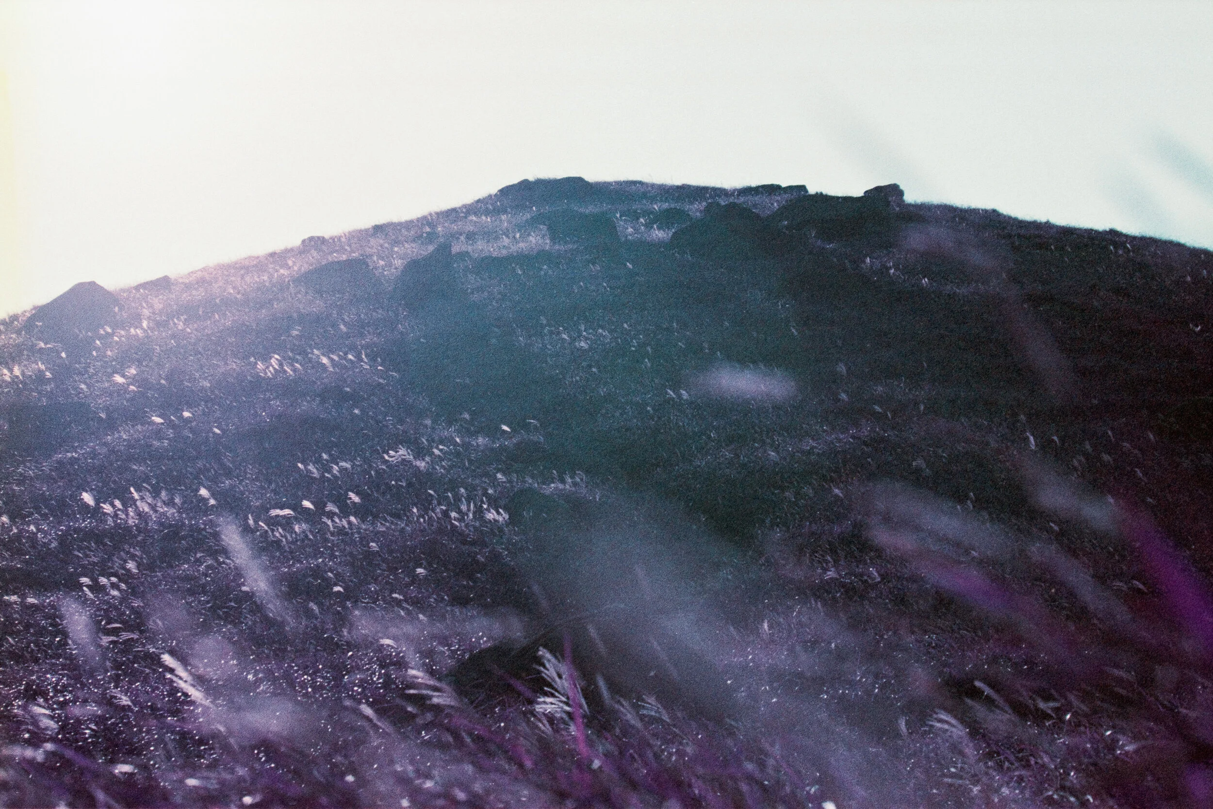 4KWEB-Ultra Violet-016.jpg