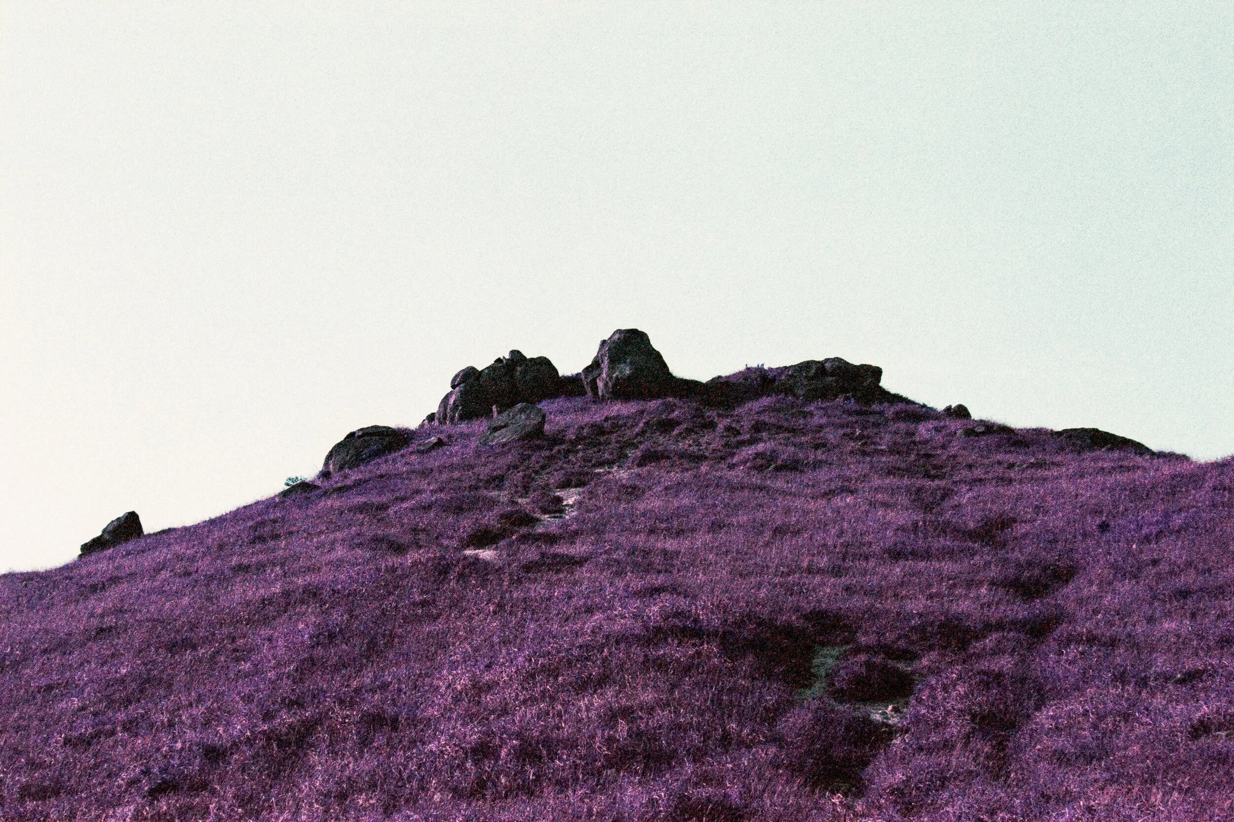 4KWEB-Ultra Violet-019.jpg