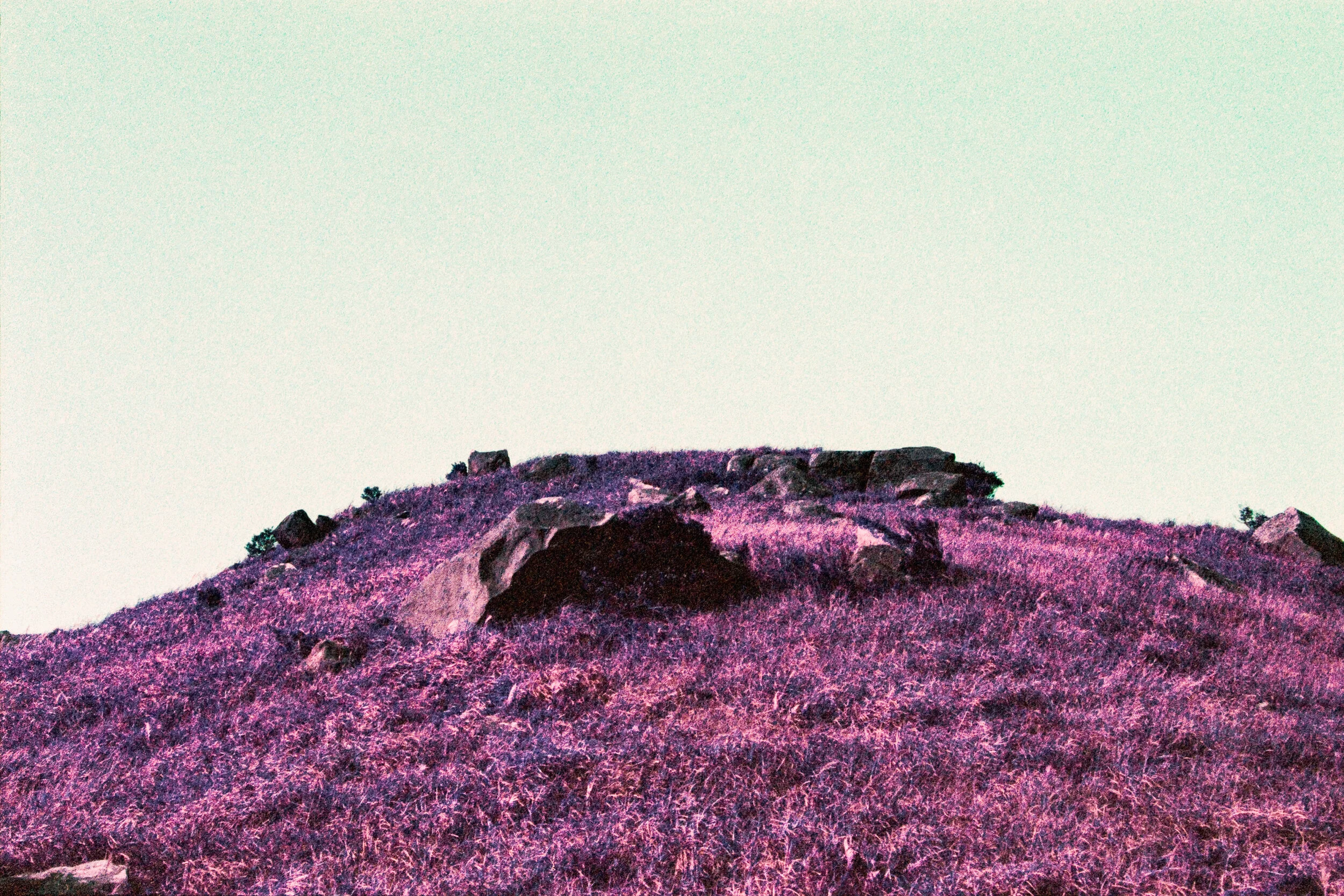 4KWEB-Ultra Violet-020.jpg