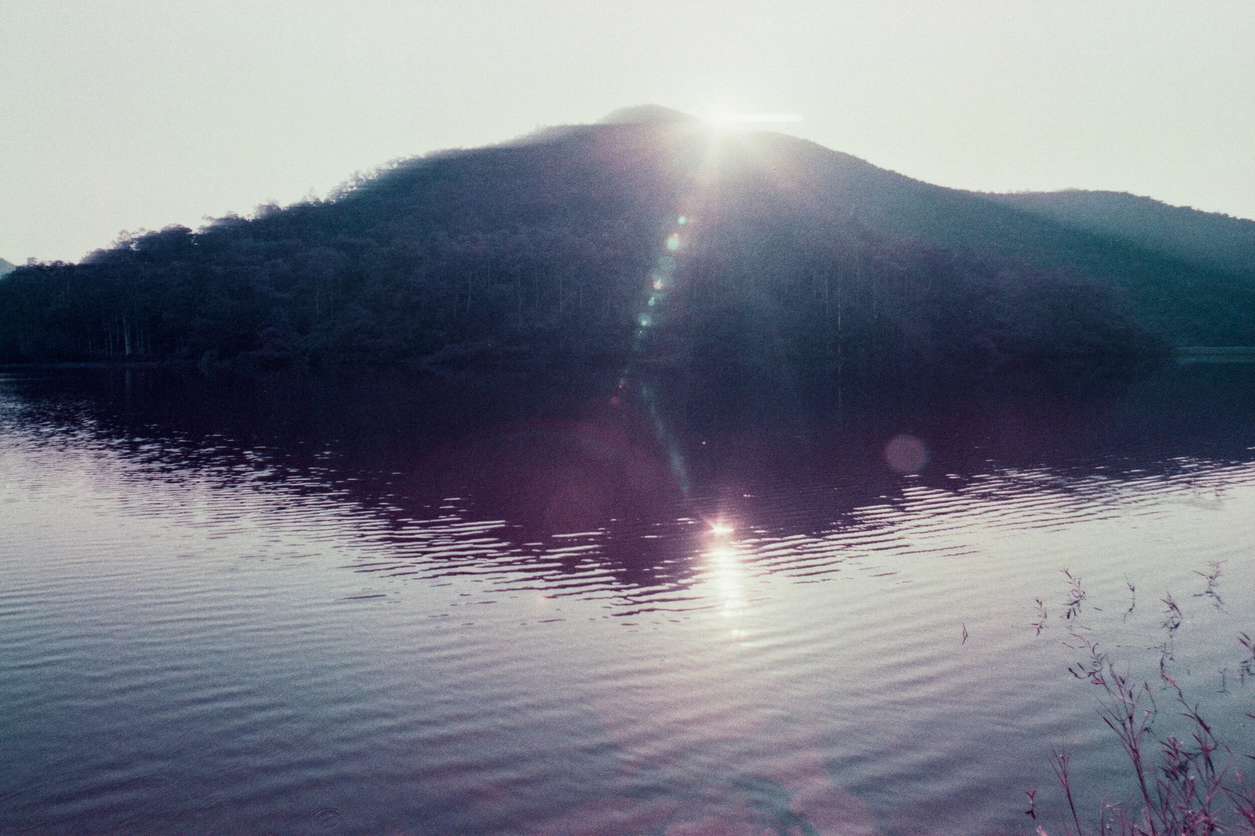 4KWEB-Ultra Violet-024.jpg