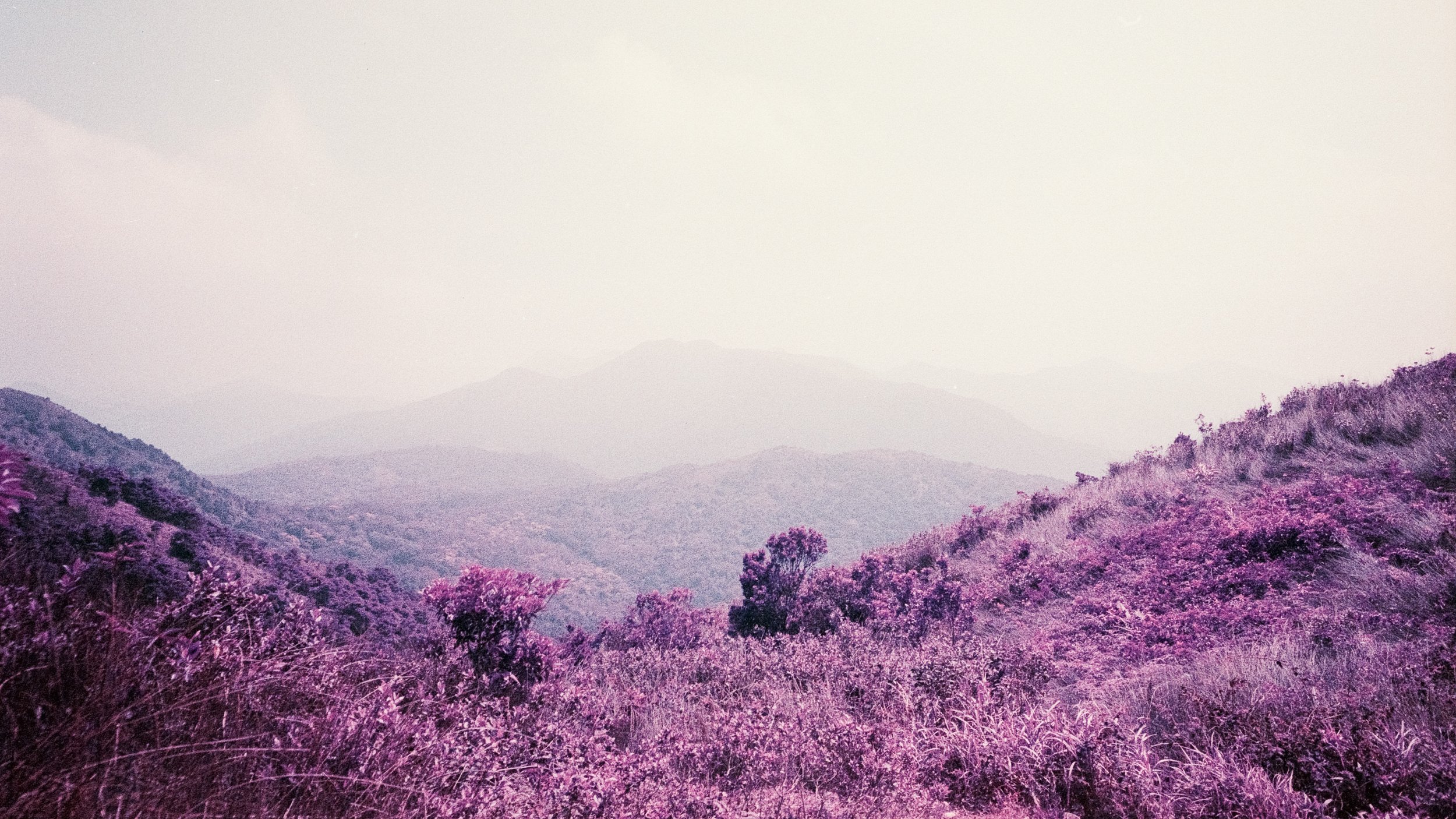 4KWEB-M6-2022-Lomochrome Purple XR-019.jpg