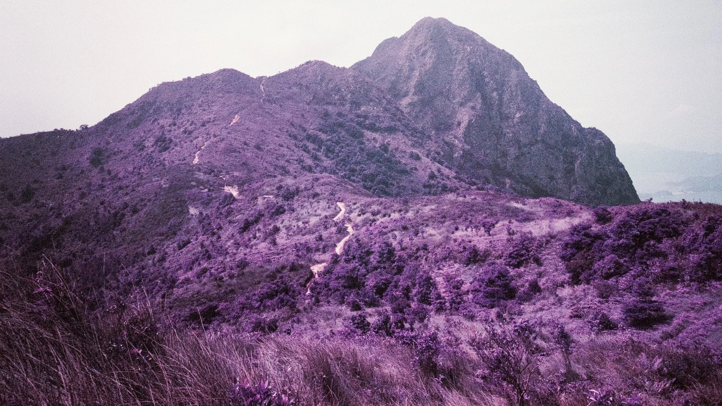 4KWEB-M6-2022-Lomochrome Purple XR-031.jpg