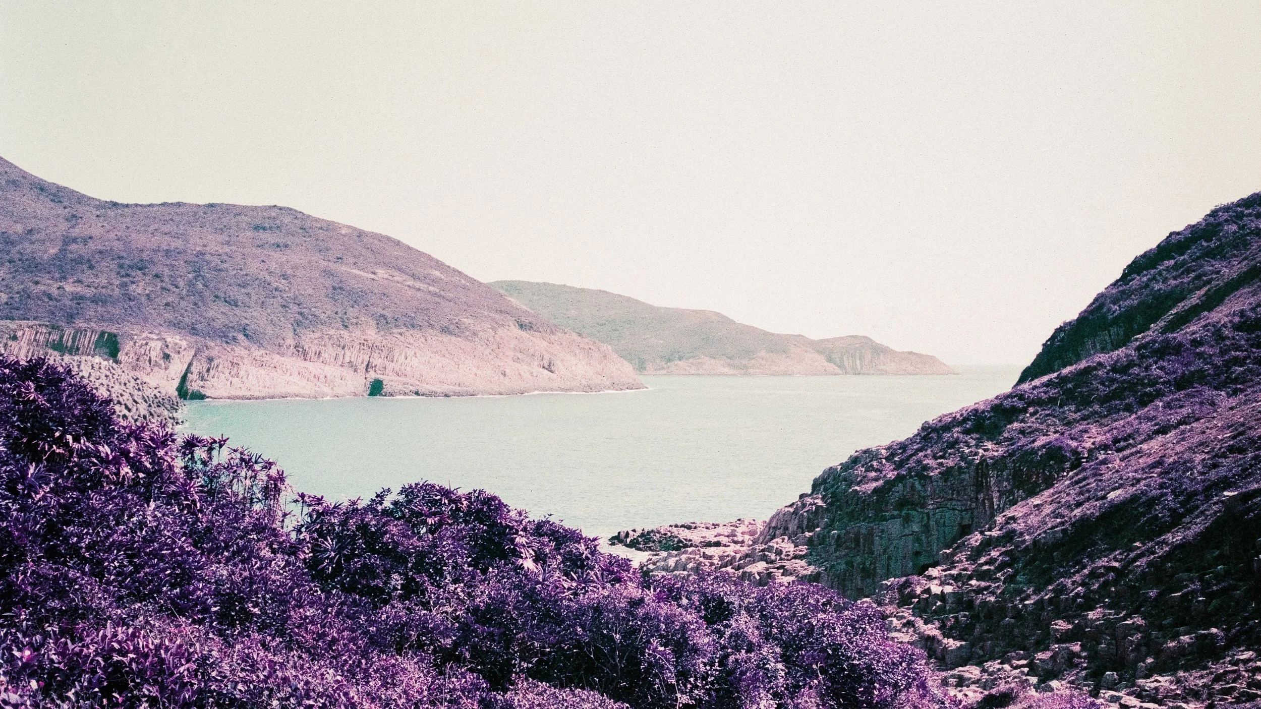 4KWEB-M6-2024-Lomochrome Purple XR-007.jpg