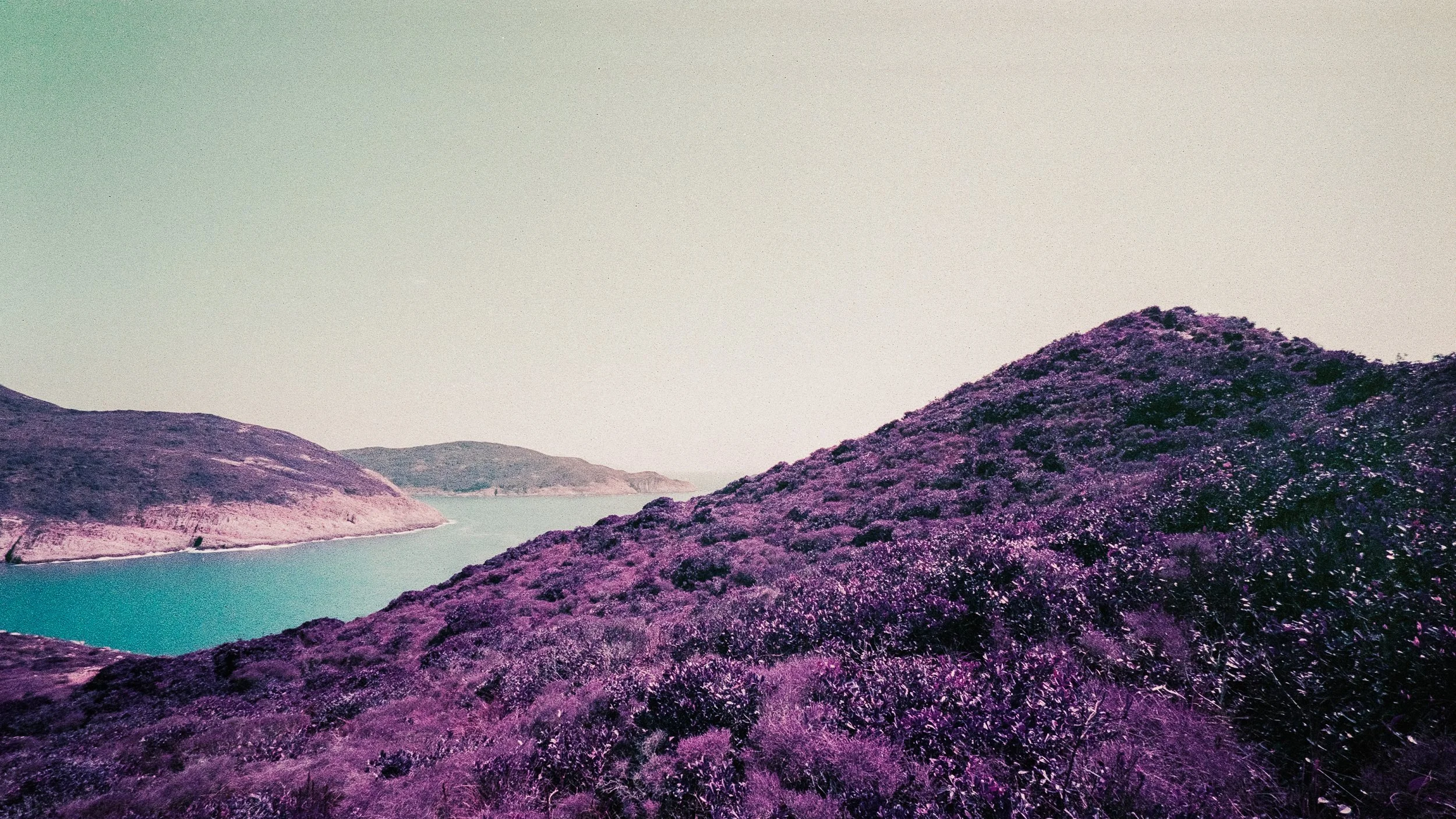4KWEB-M6-2024-Lomochrome Purple XR-013.jpg