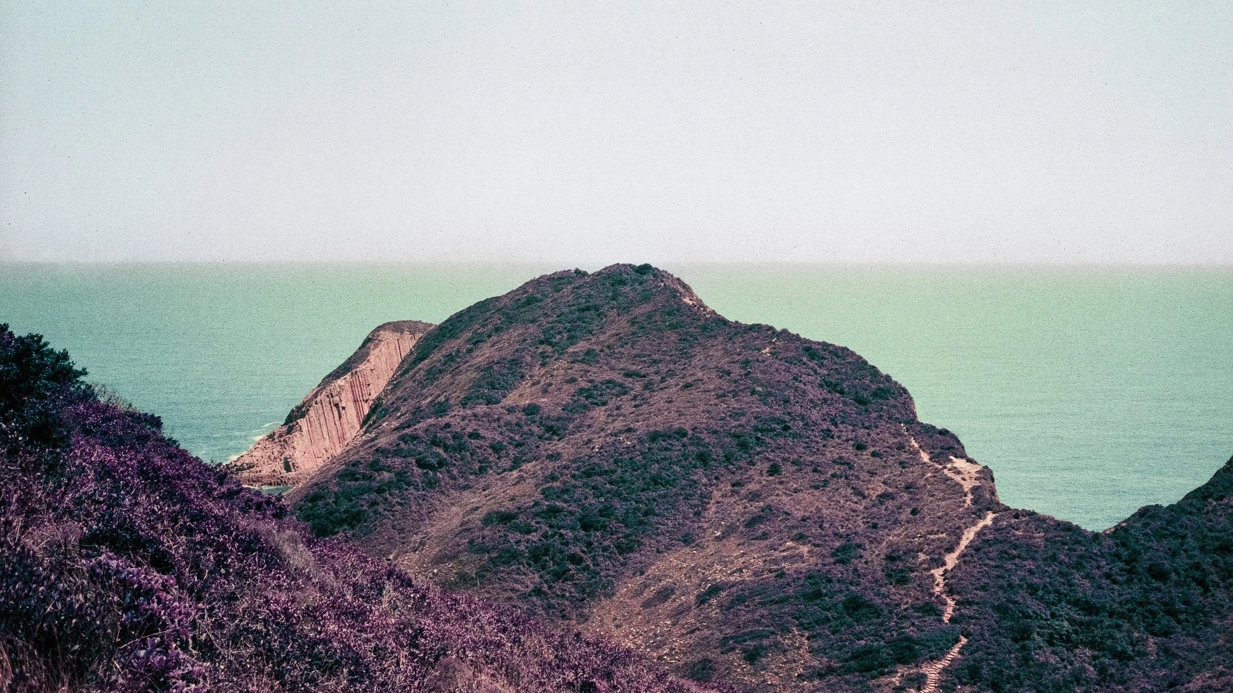 4KWEB-M6-2024-Lomochrome Purple XR-042.jpg