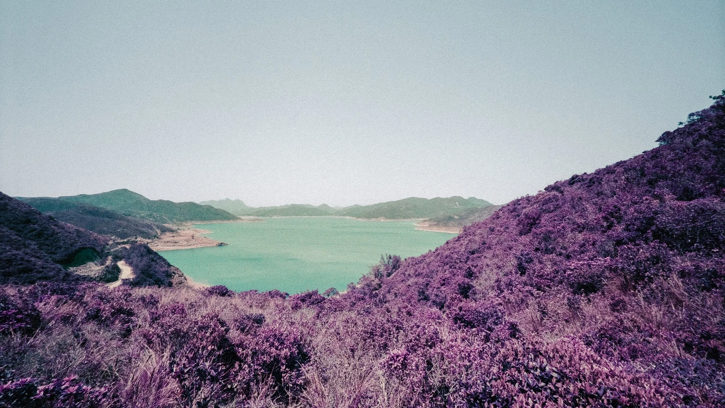 4KWEB-M6-2024-Lomochrome Purple XR-048.jpg