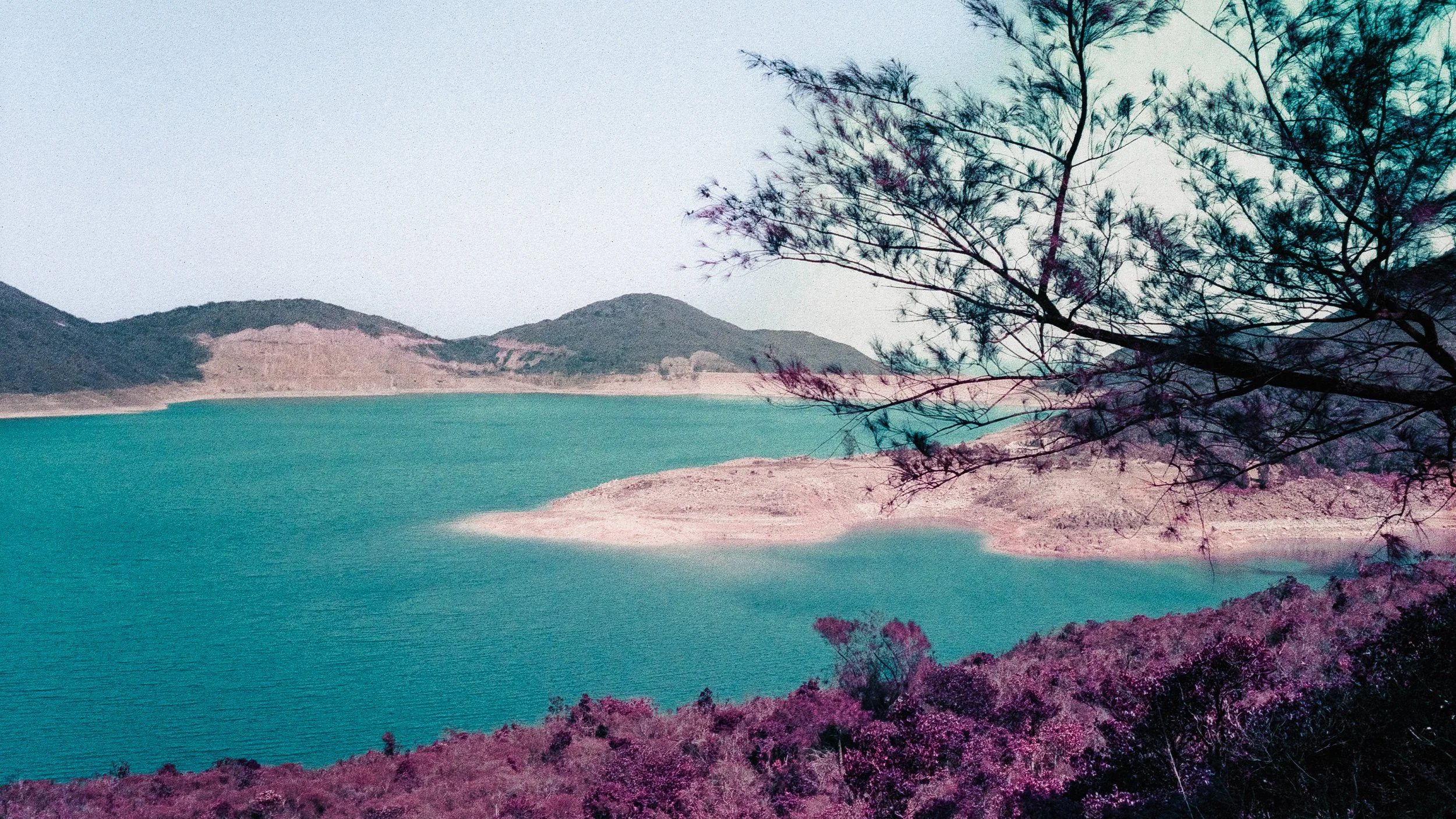 4KWEB-M6-2024-Lomochrome Purple XR-066.jpg