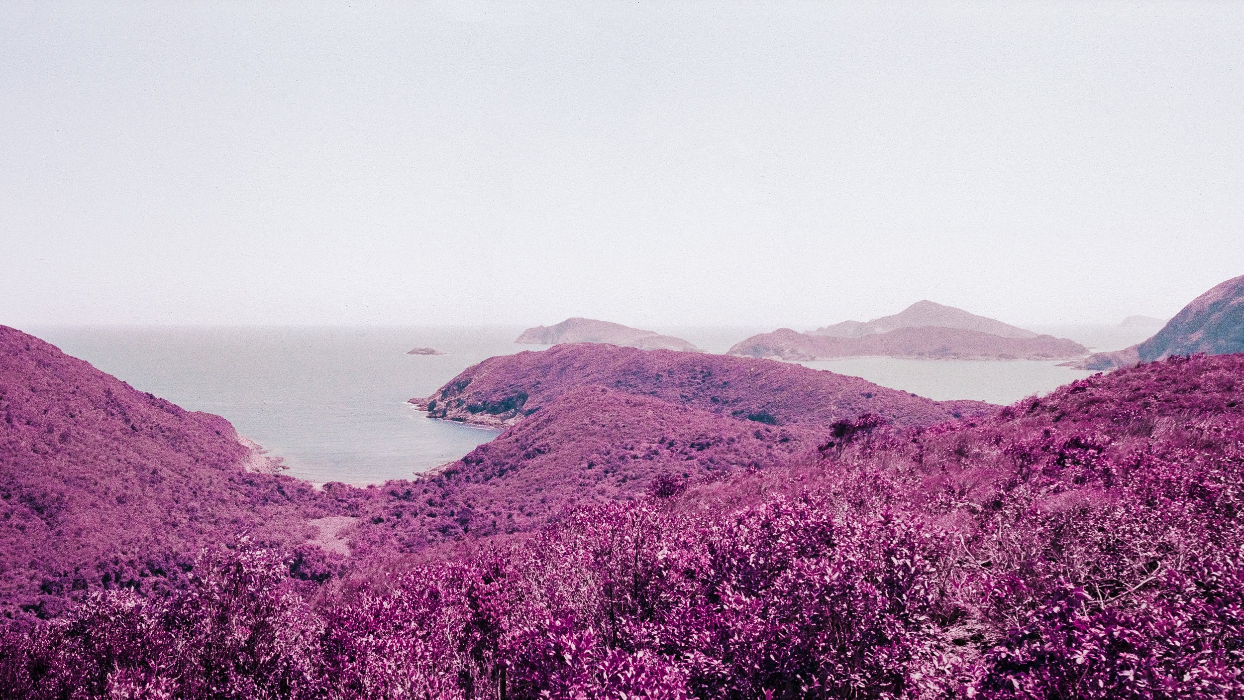 4KWEB-M6-2024-Lomochrome Purple XR-064-Pano.jpg